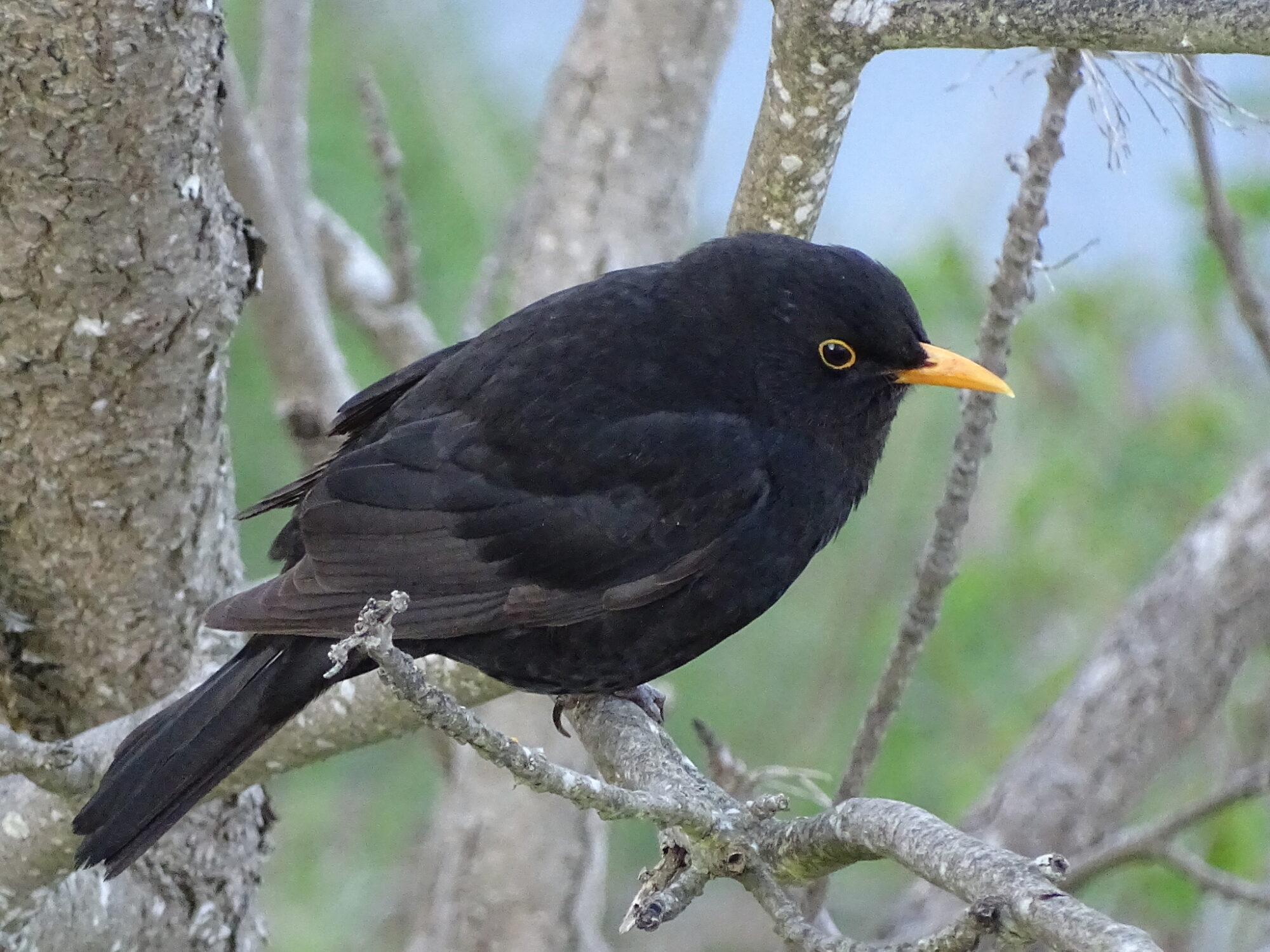 Valokuvaaja: Juhani Peltonen