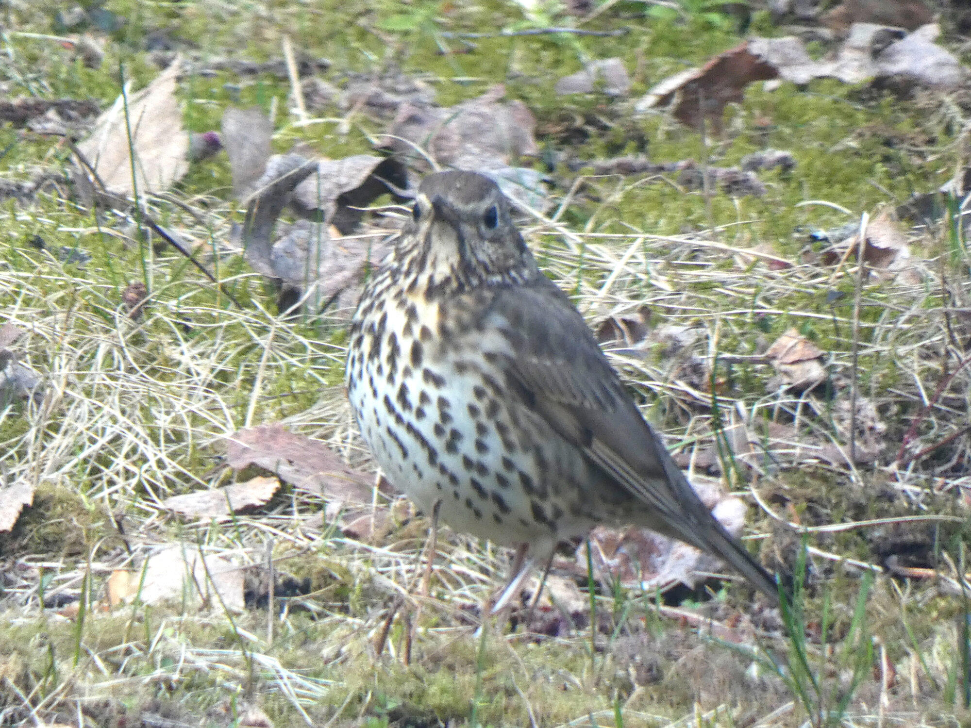 Valokuvaaja: Pekka Heino