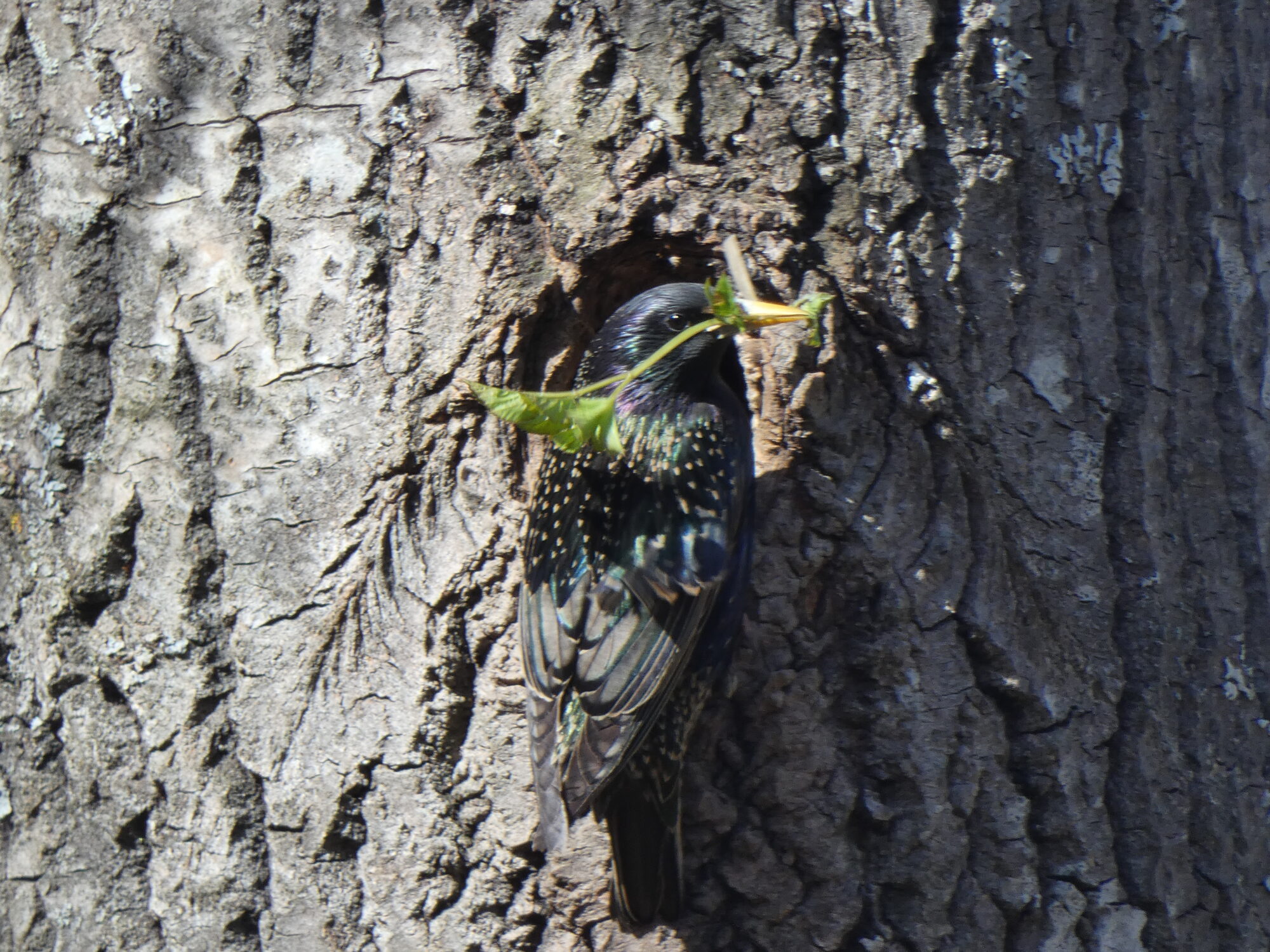 Valokuvaaja: Pekka Heino