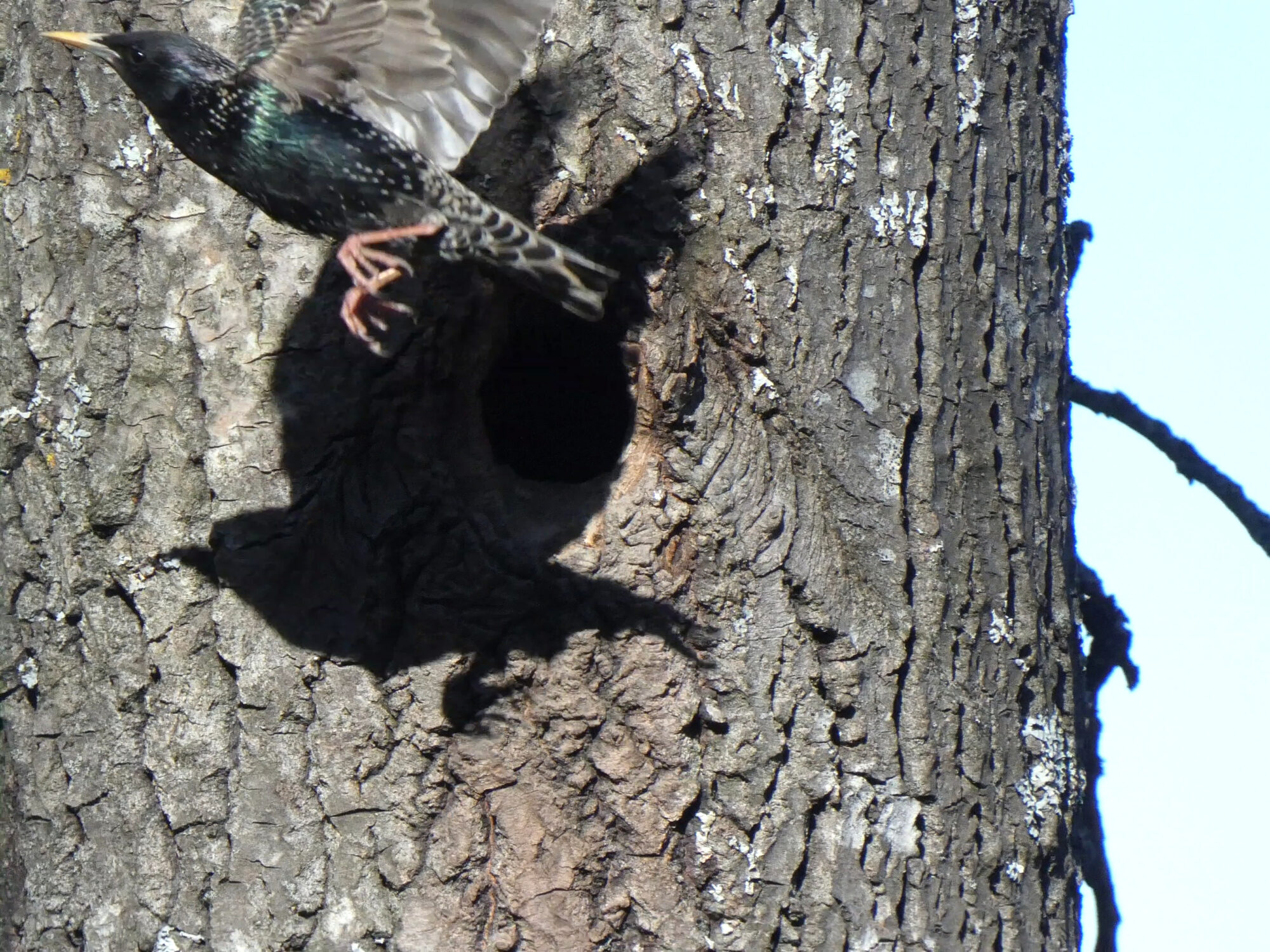 Valokuvaaja: Pekka Heino