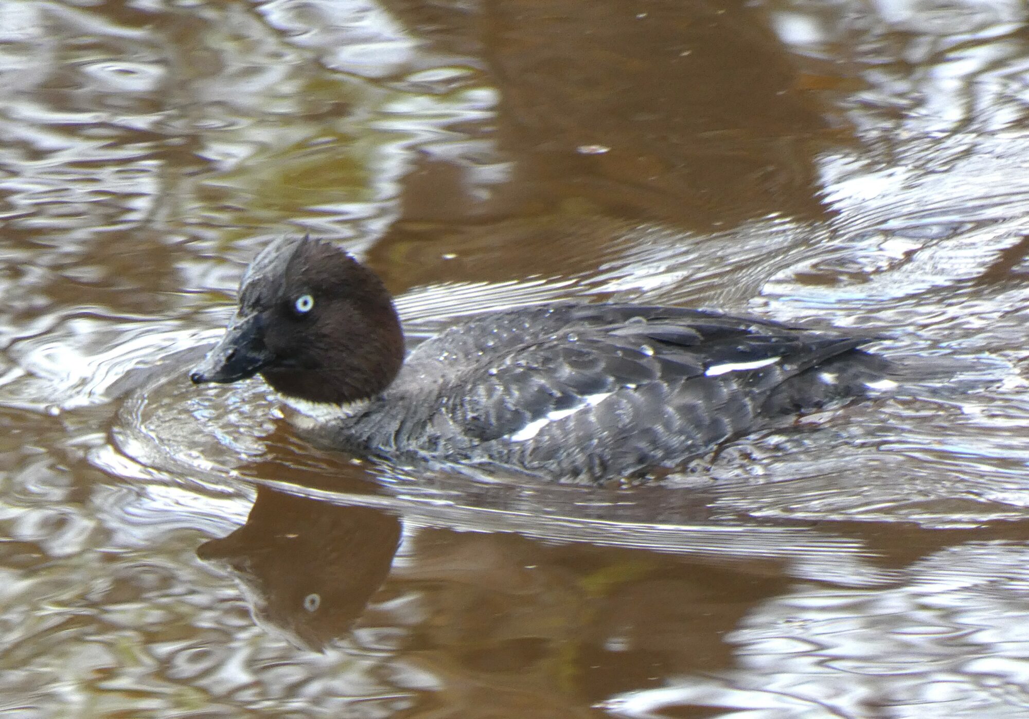 Valokuvaaja: Pekka Heino