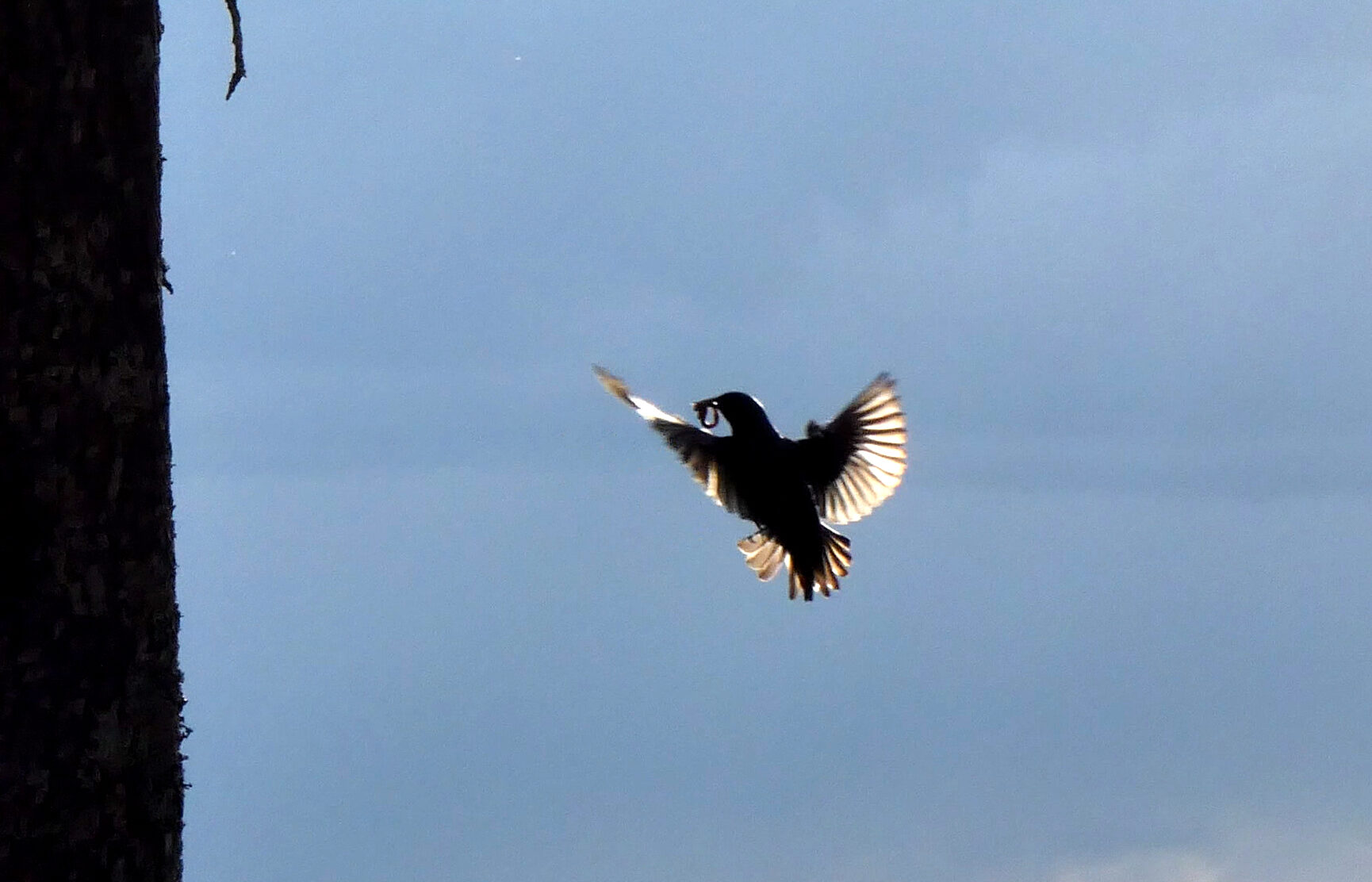 Valokuvaaja: Pekka Heino