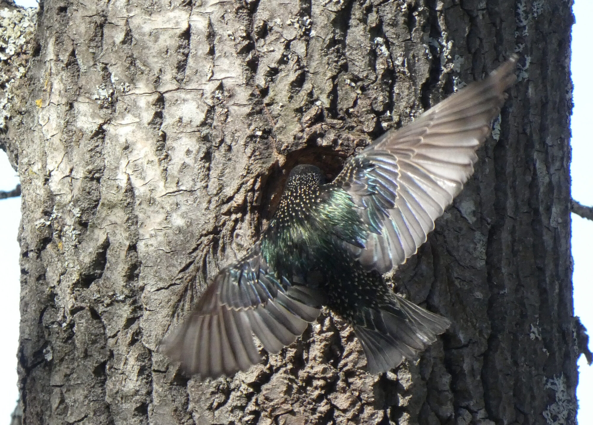 Valokuvaaja: Pekka Heino