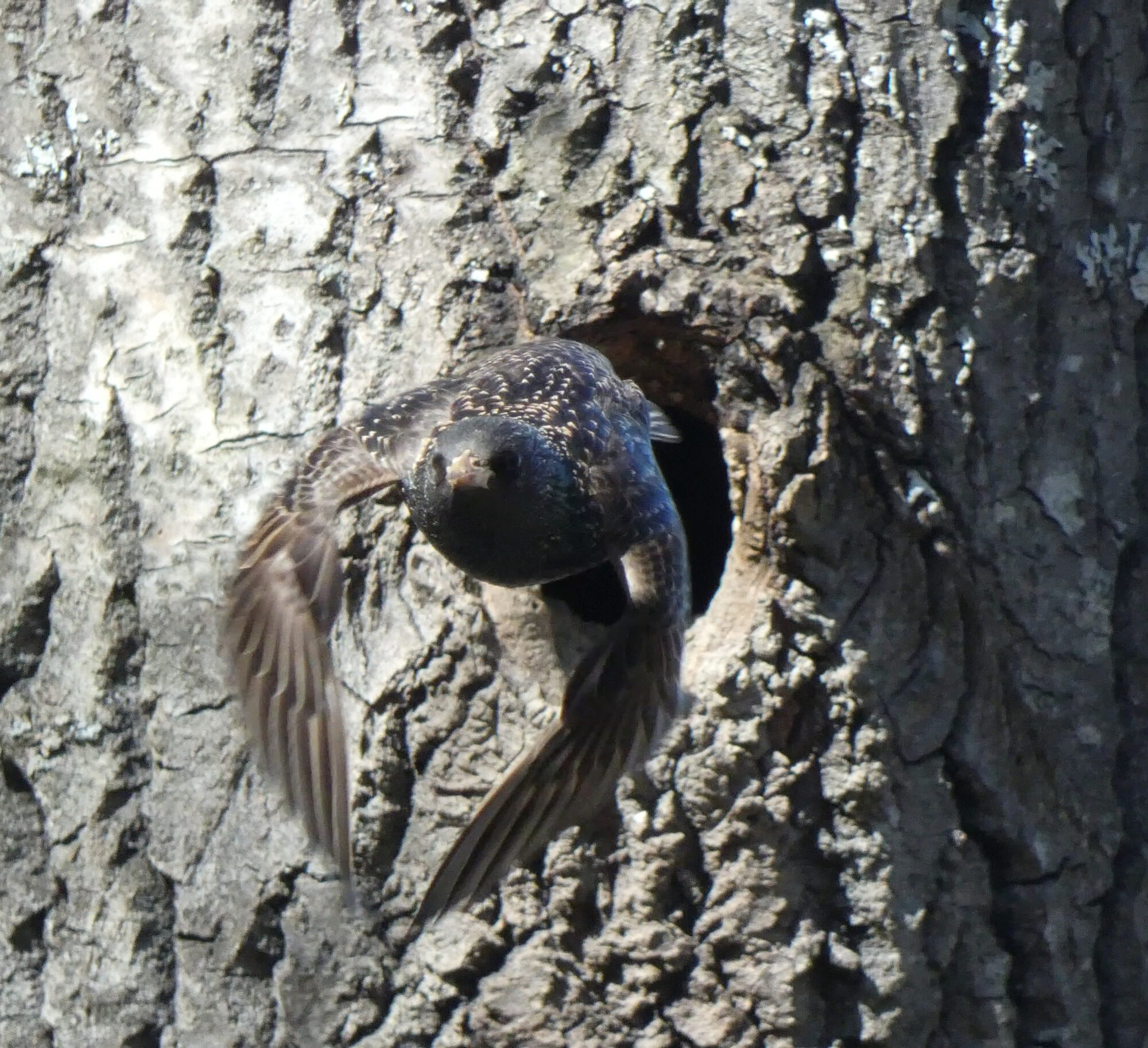Valokuvaaja: Pekka Heino