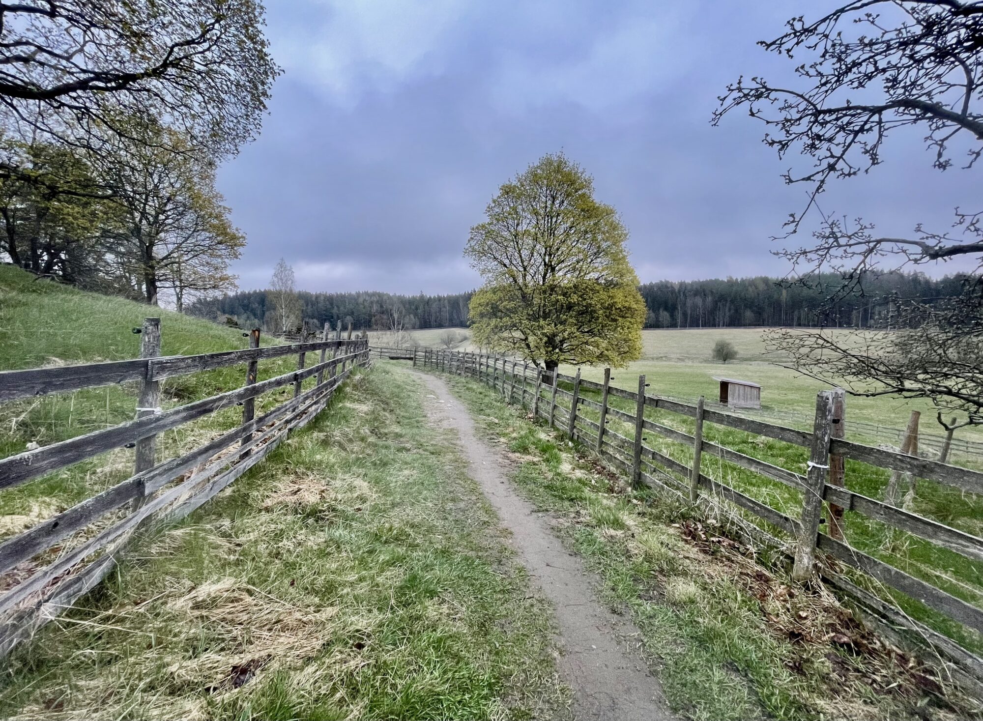 Valokuvaaja: Juhani Peltonen Valokuvaaja: Juhani Peltonen