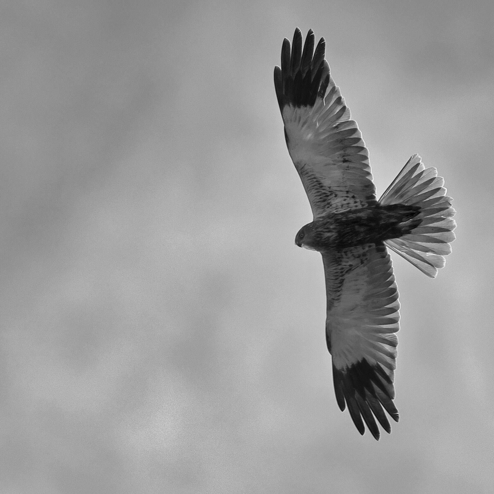 Valokuvaaja: Ari Branthin Valokuvaaja: Ari Branthin