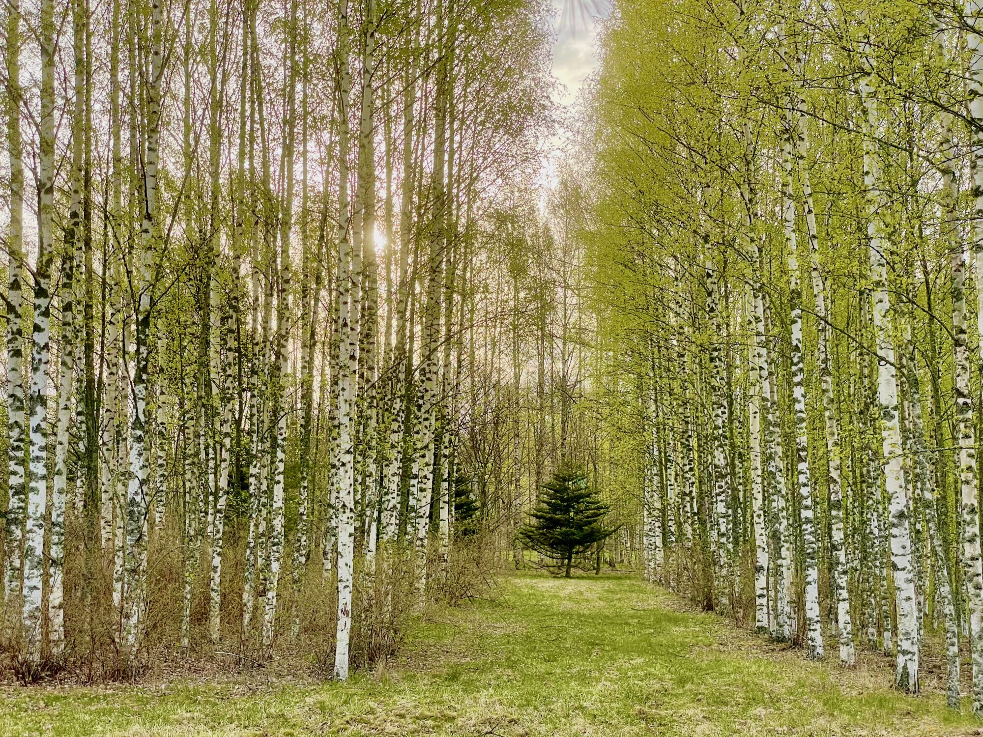 Valokuvaaja: juhani Peltonen