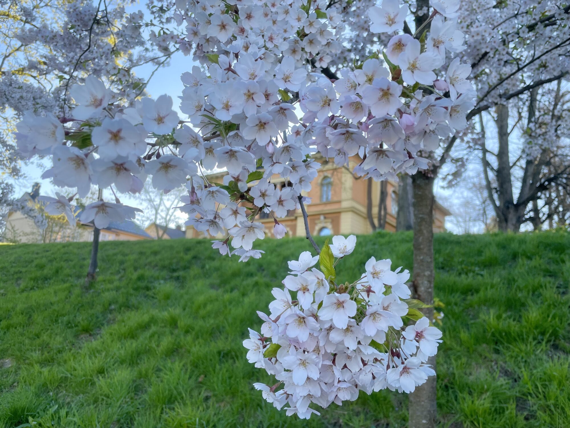 Valokuvaaja: Juhani Peltonen