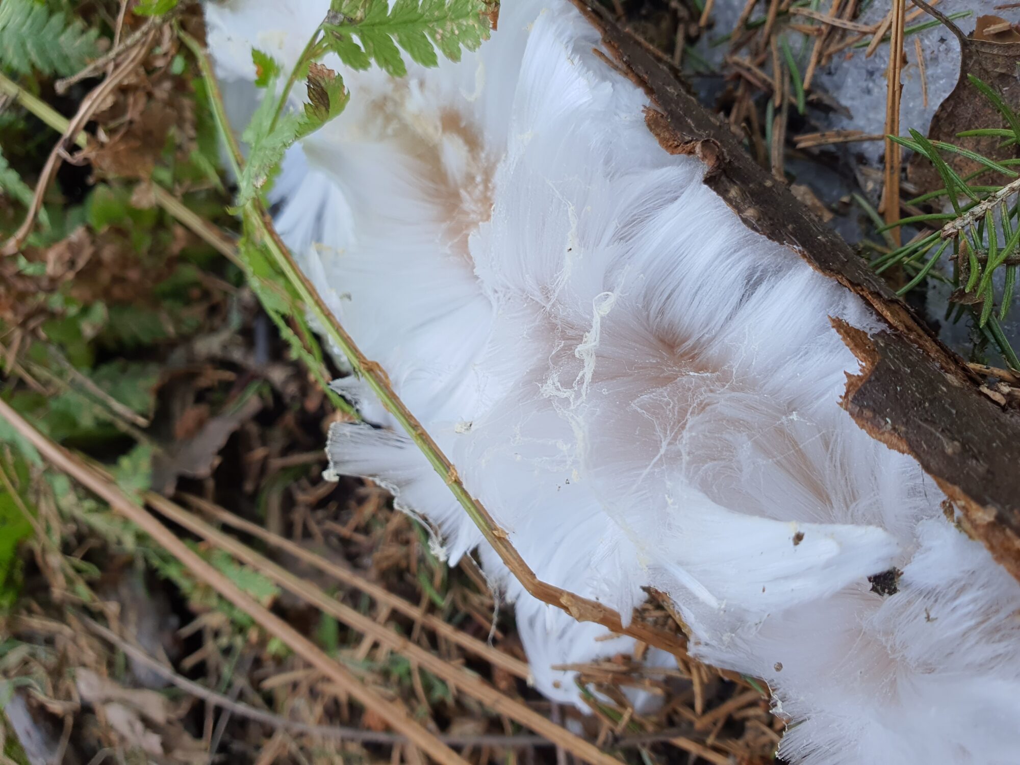 Valokuvaaja: Elli Koivisto