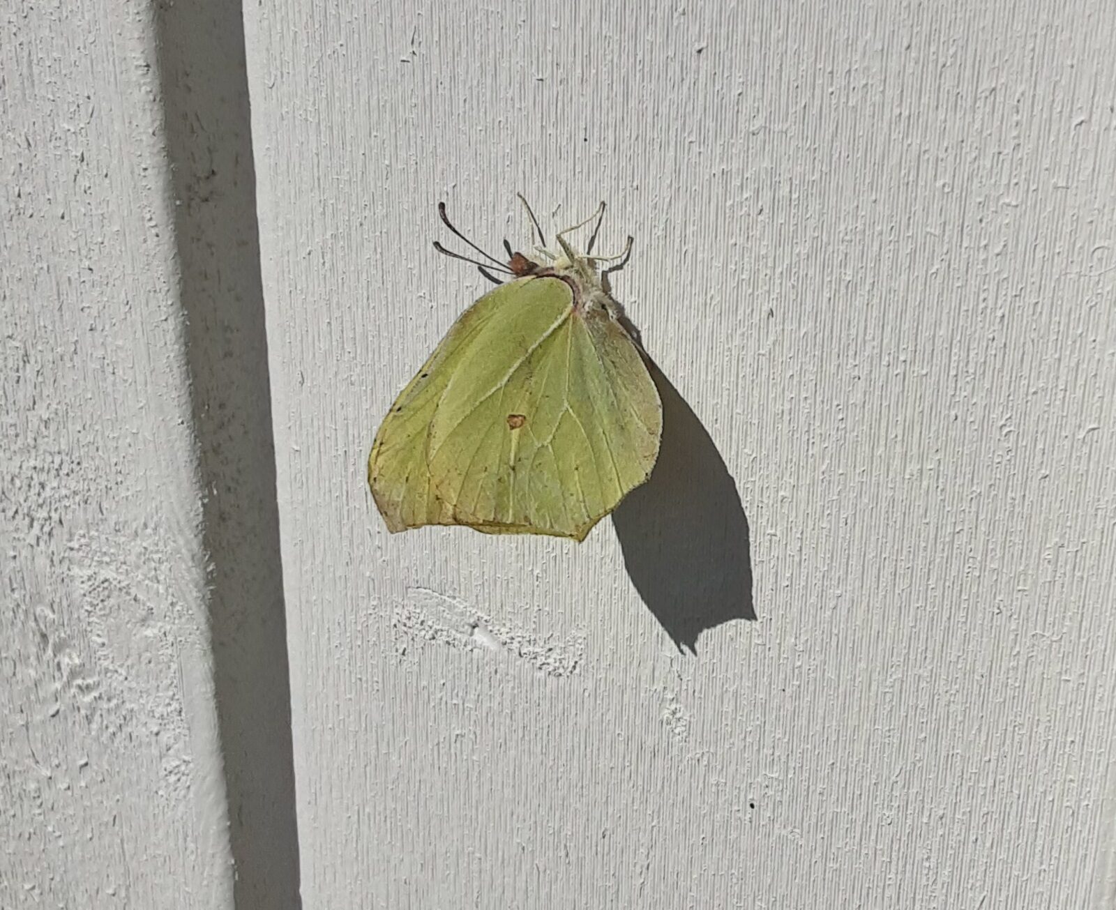 Valokuvaaja: Eija Johanna Saastamoinen Valokuvaaja: Eija Johanna Saastamoinen