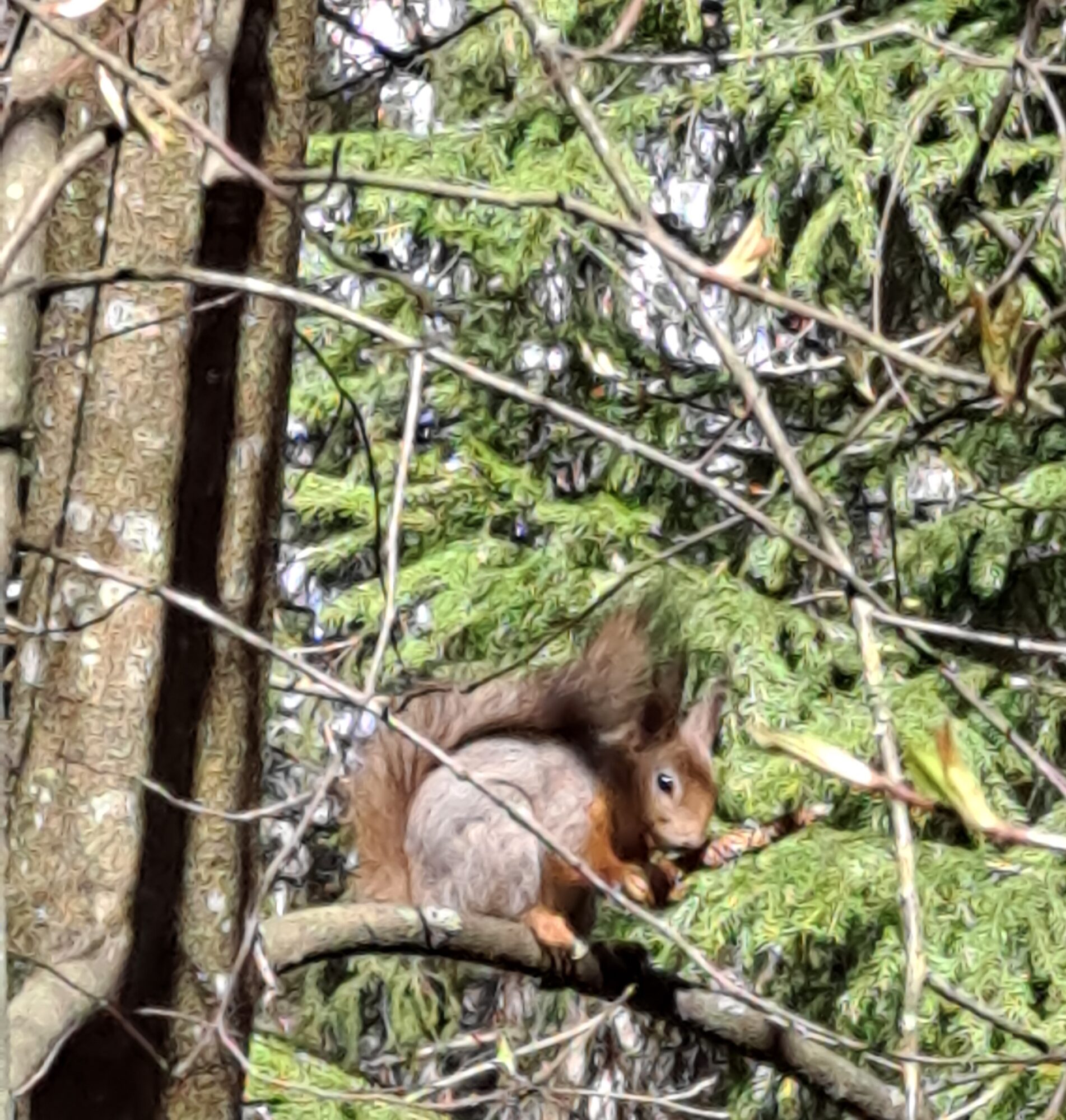 Valokuvaaja: Satu Suuntala