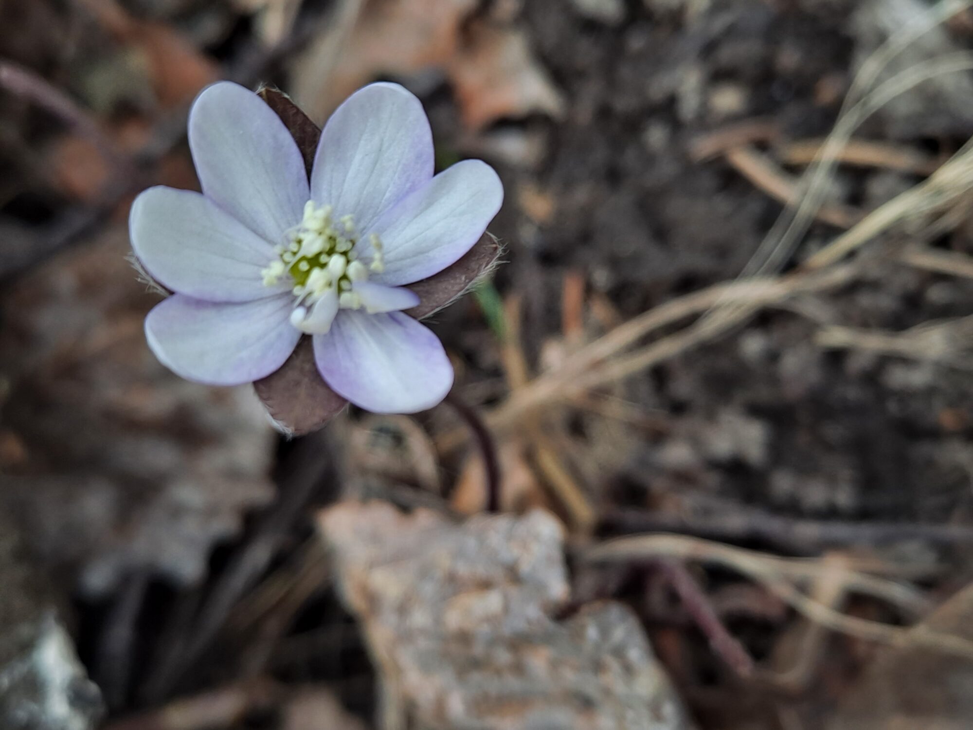 Valokuvaaja: Satu Suuntala