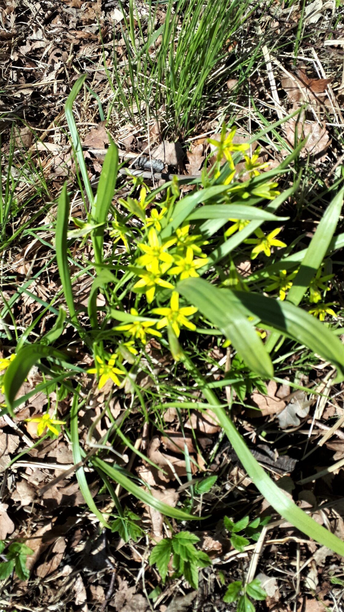 Valokuvaaja: Börje Björkqvist