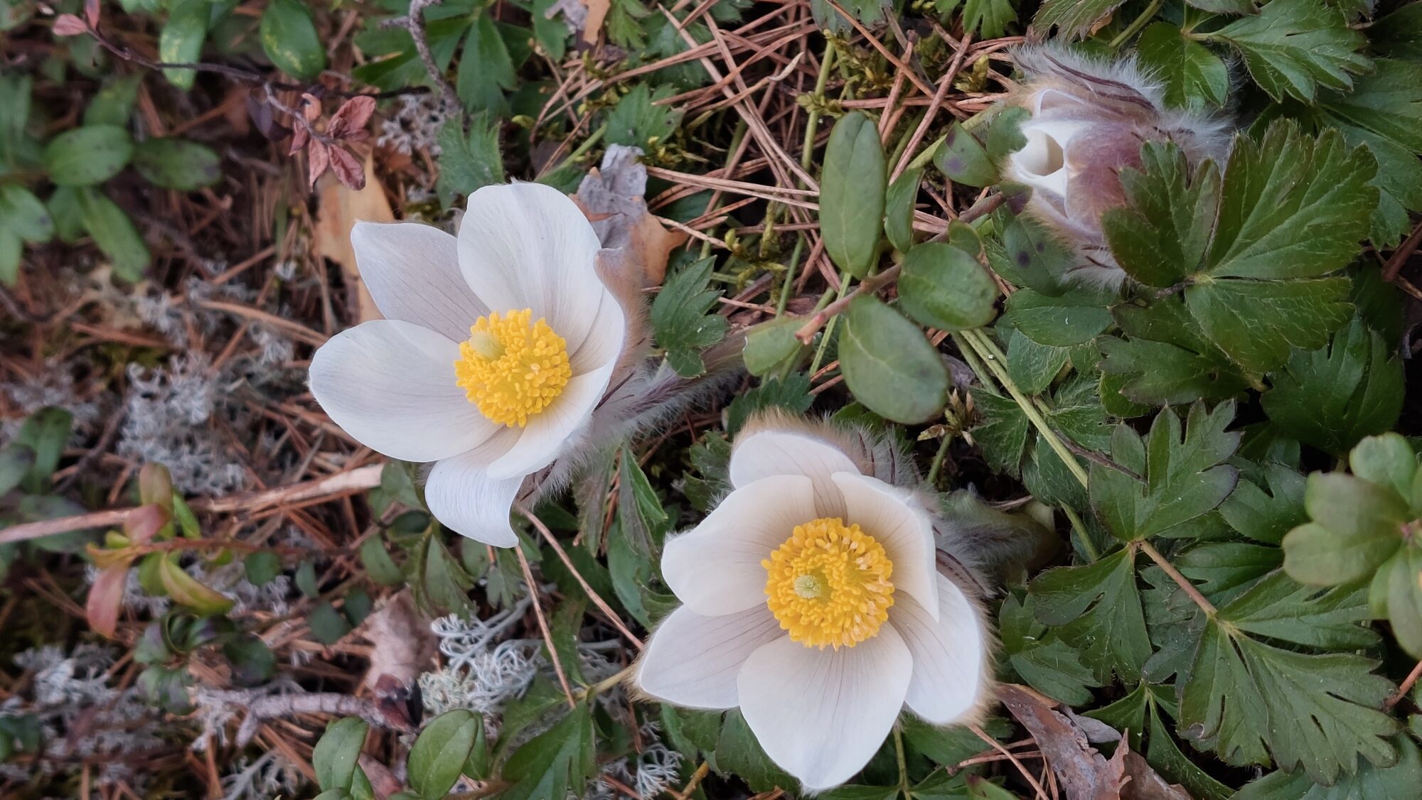 Valokuvaaja: Tarja Naukkarinen