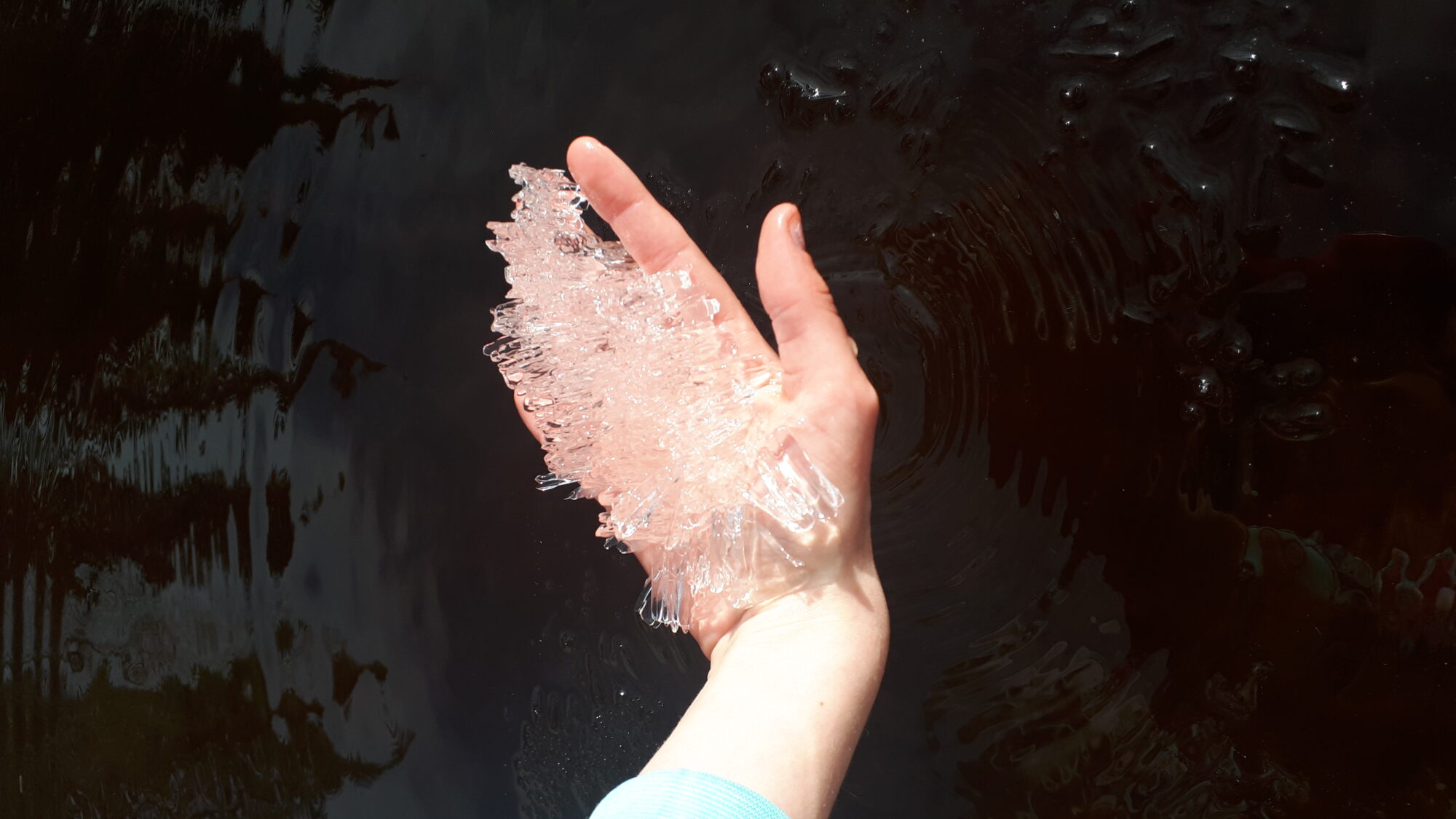 Valokuvaaja: Venla Pohjoisvirta Valokuvaaja: Venla Pohjoisvirta