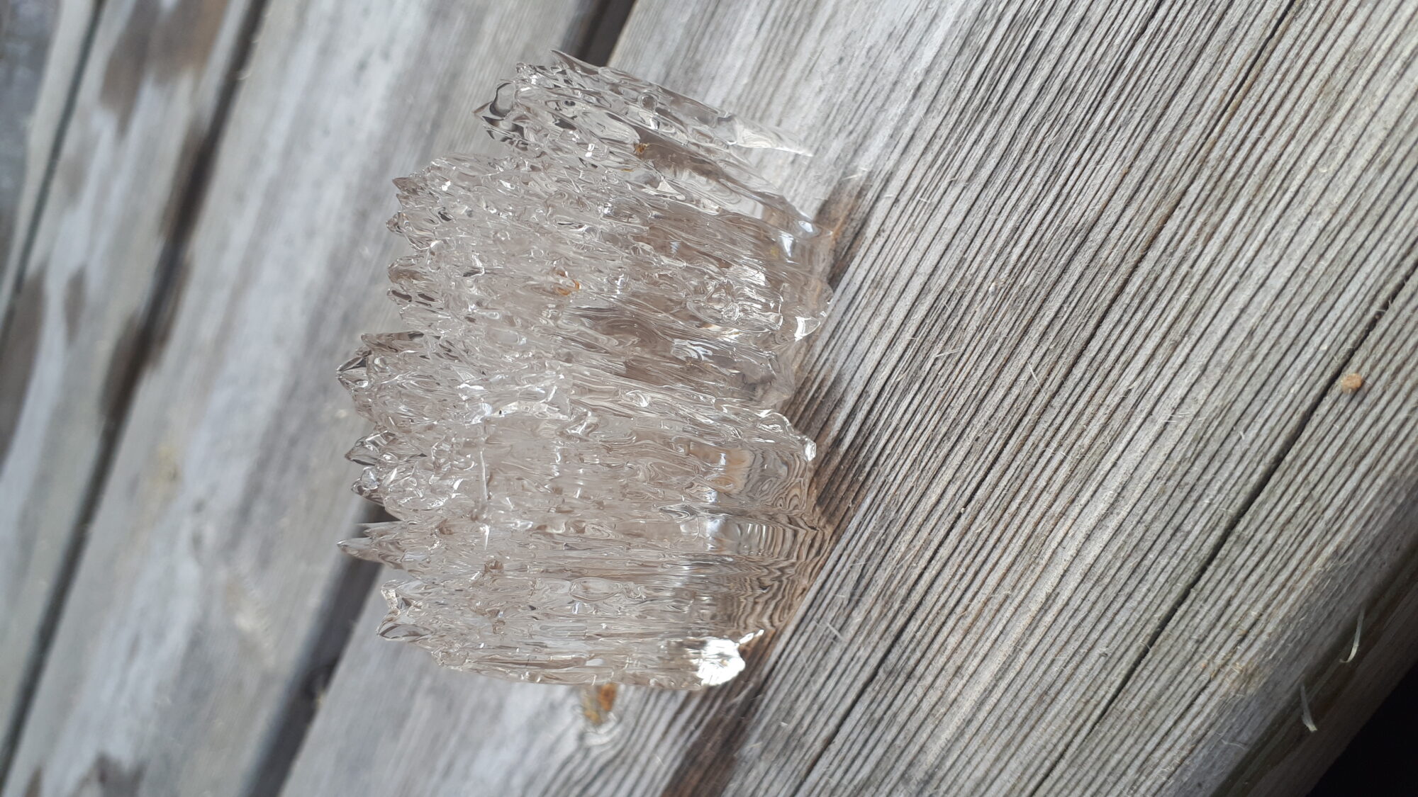 Valokuvaaja: Venla Pohjoisvirta