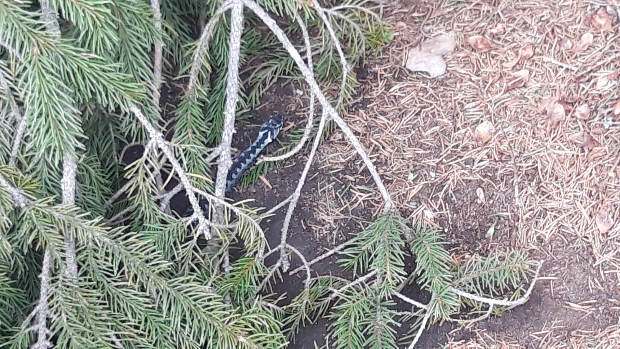 Valokuvaaja: Sami Rissanen