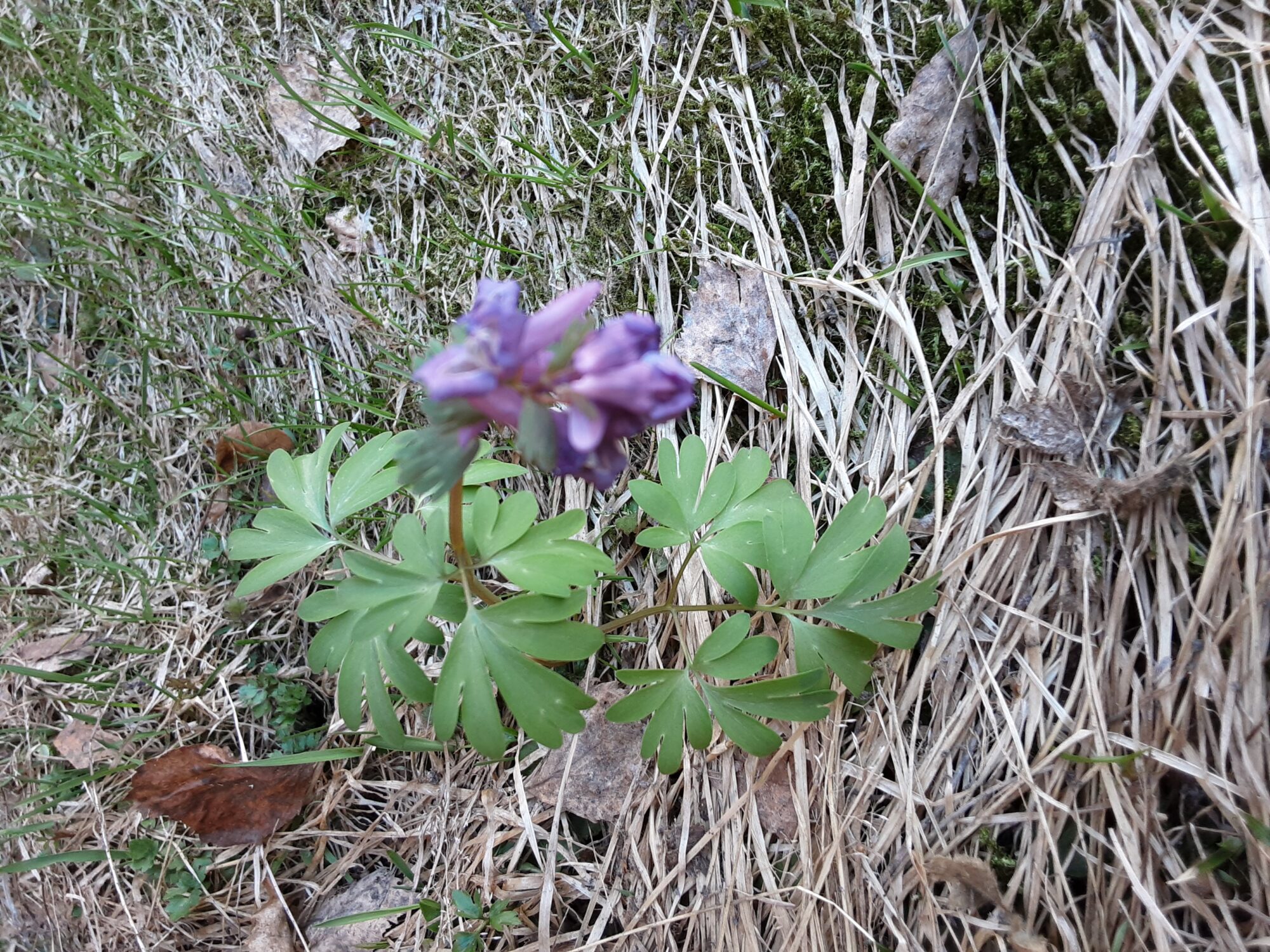 Valokuvaaja: Eija Johanna Saastamoinen