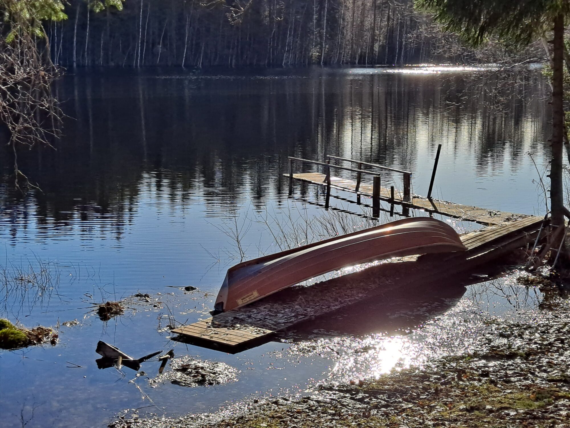 Valokuvaaja: Hannu Rissanen