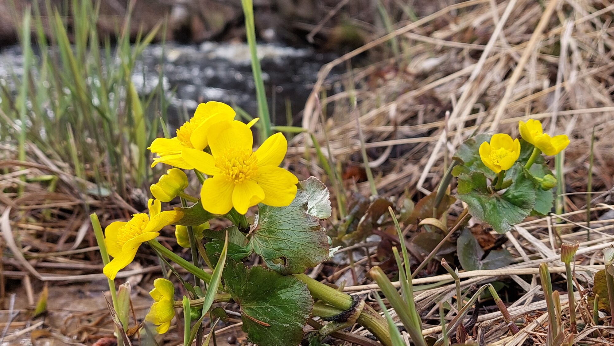 Valokuvaaja: Tarja Naukkarinen Valokuvaaja: Tarja Naukkarinen