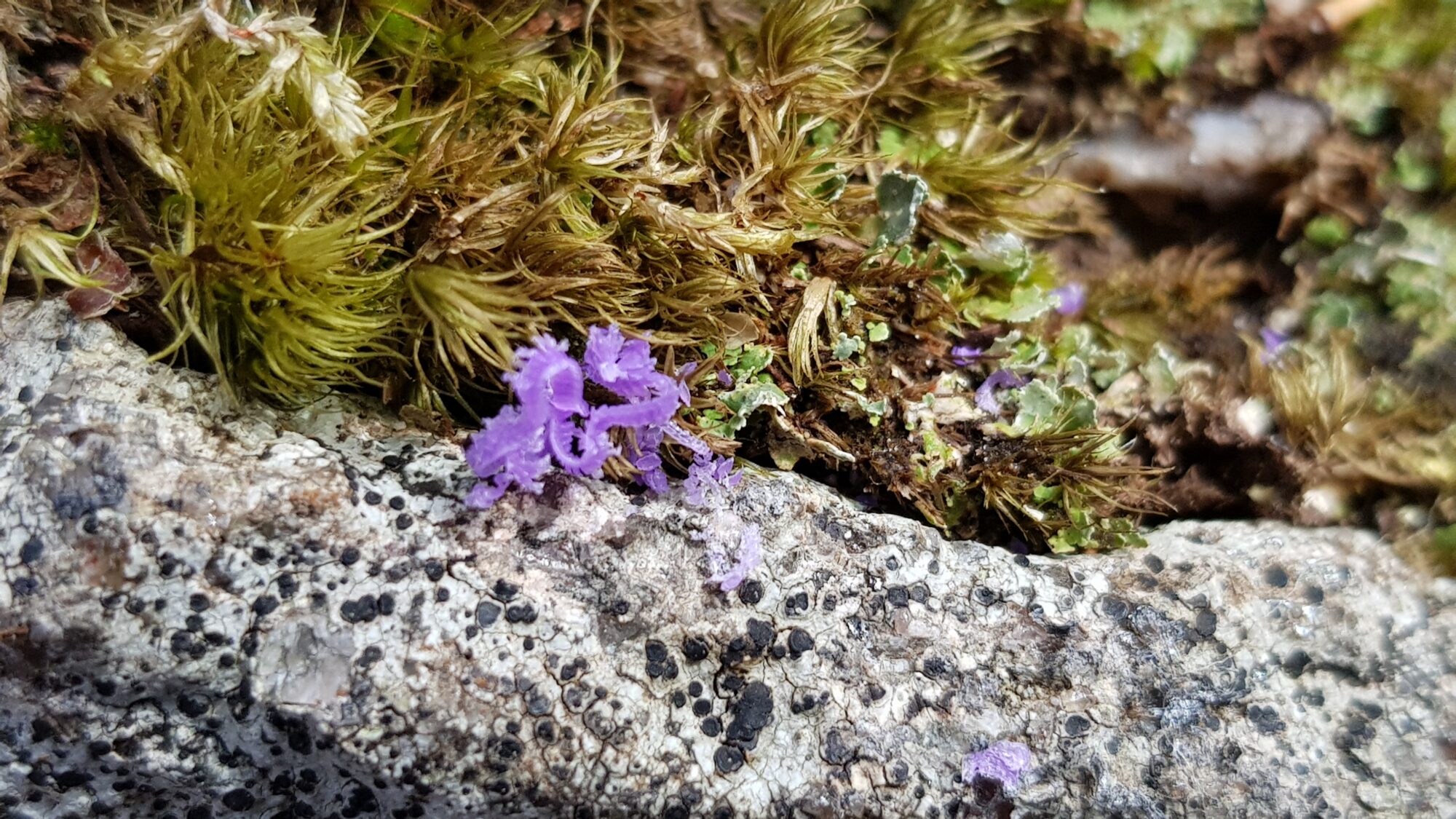 Valokuvaaja: Elise Lehtinen