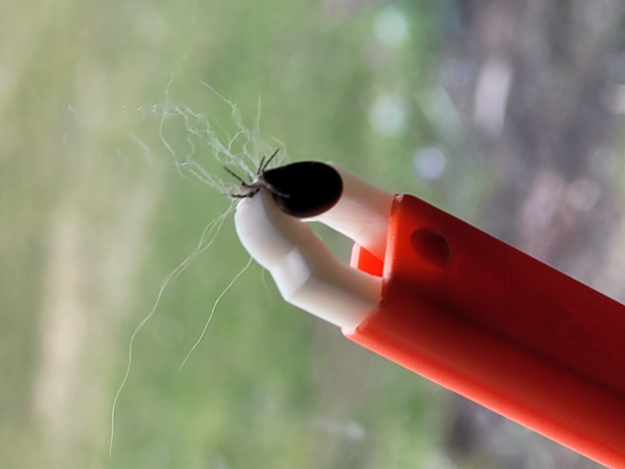 Valokuvaaja: Jaana Kinnunen-Saaristo