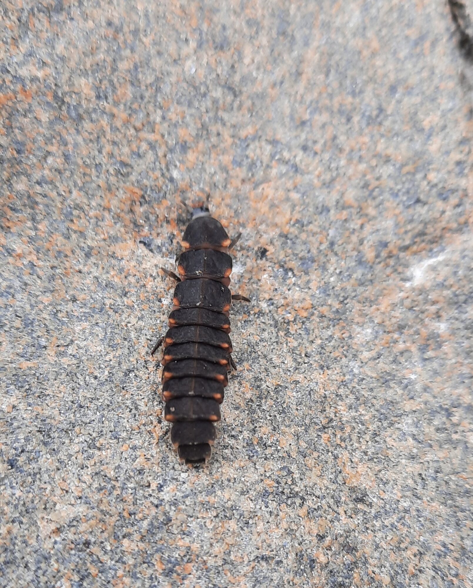 Valokuvaaja: Hanna Rönty