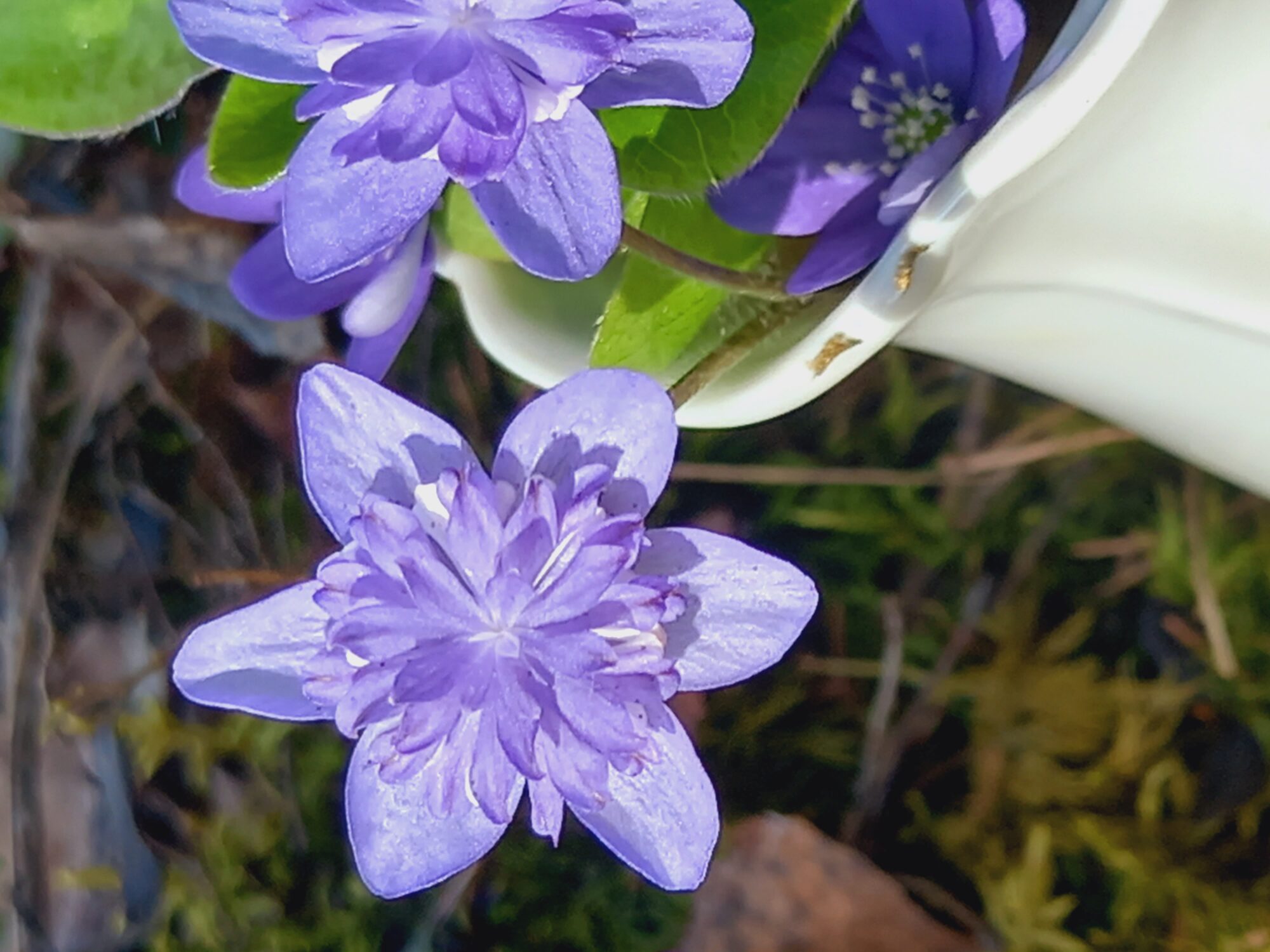 Valokuvaaja: Satu Larres