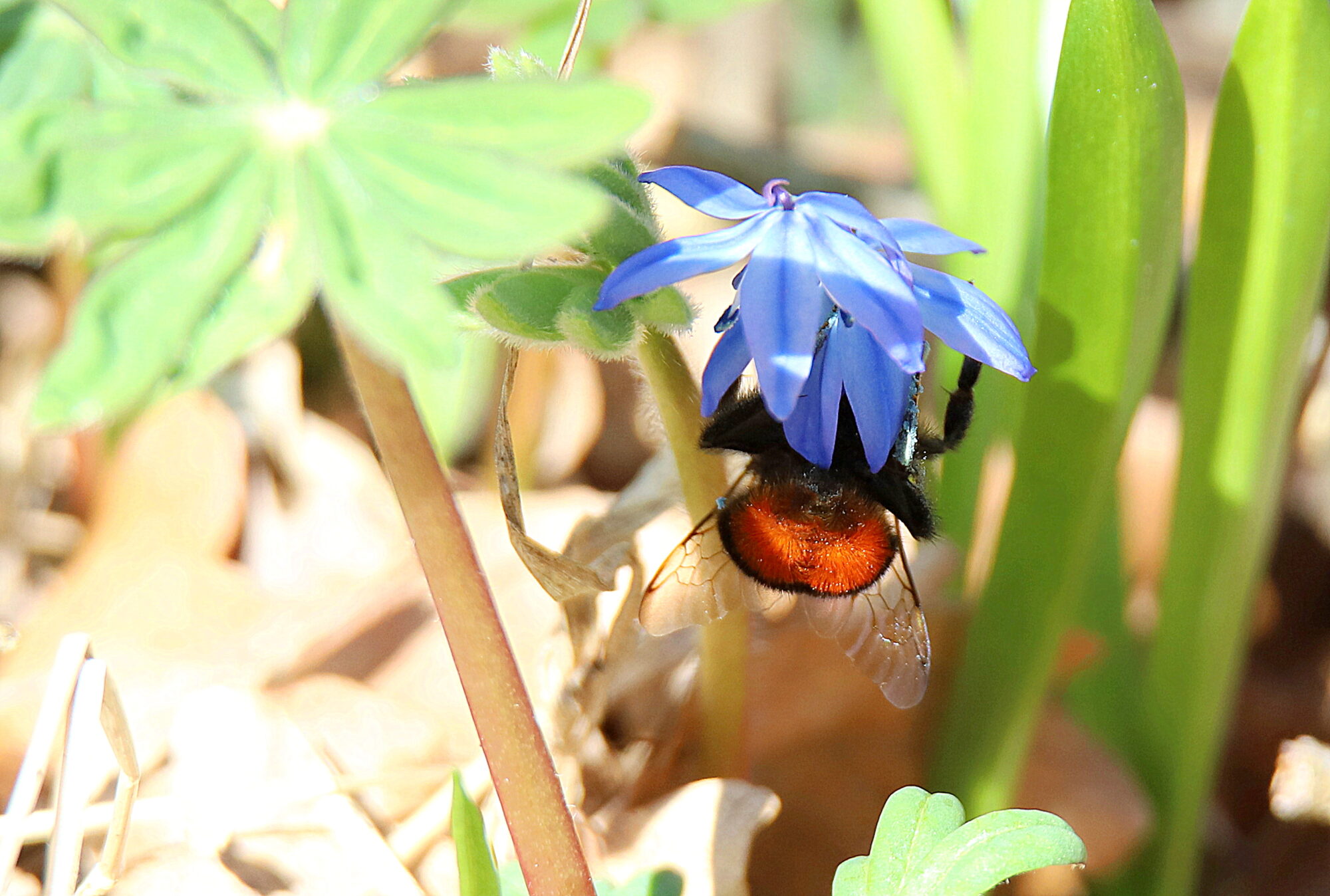Valokuvaaja: sirpa jyske