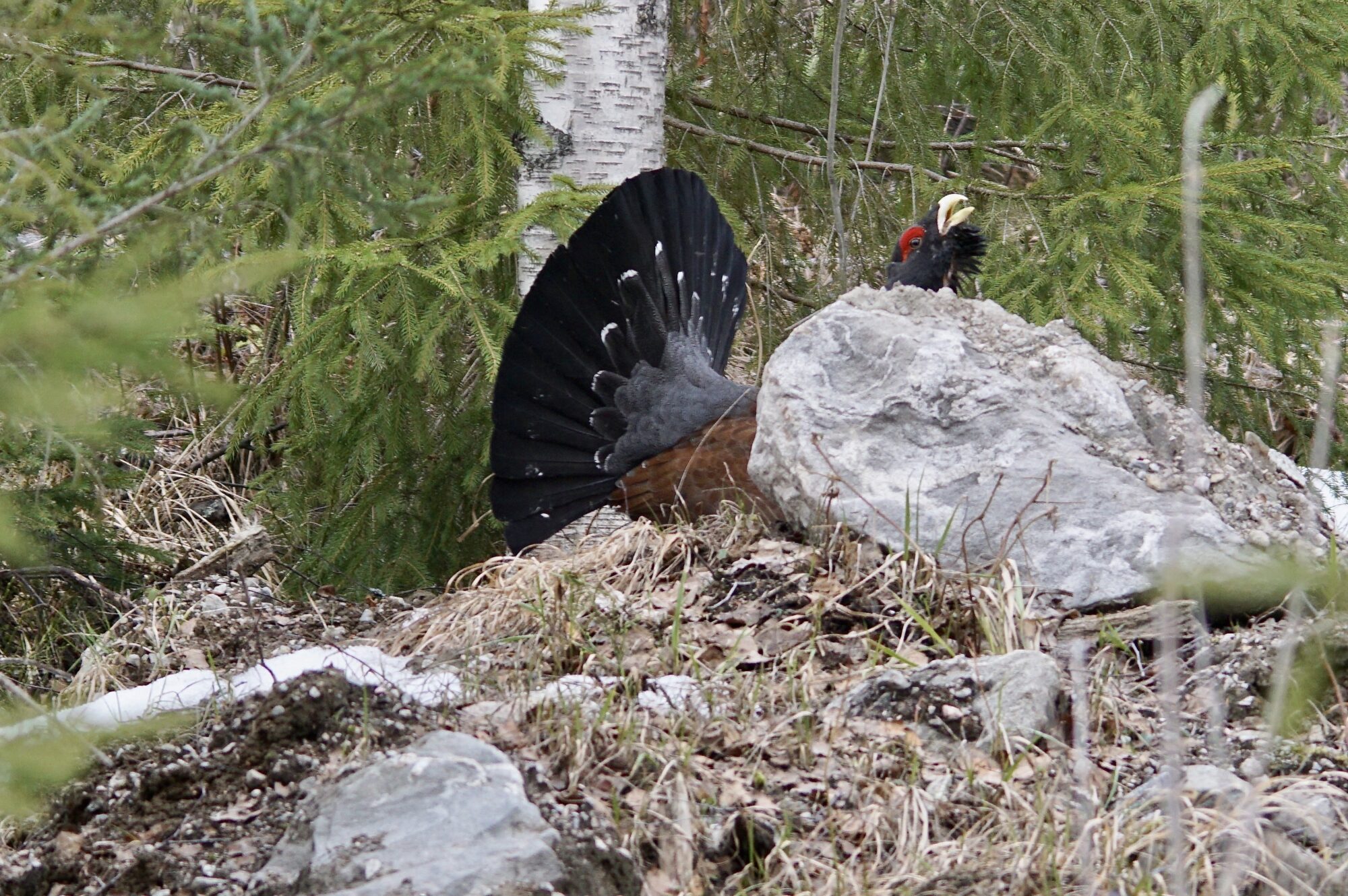 Valokuvaaja: Markku Ranta-Eilola