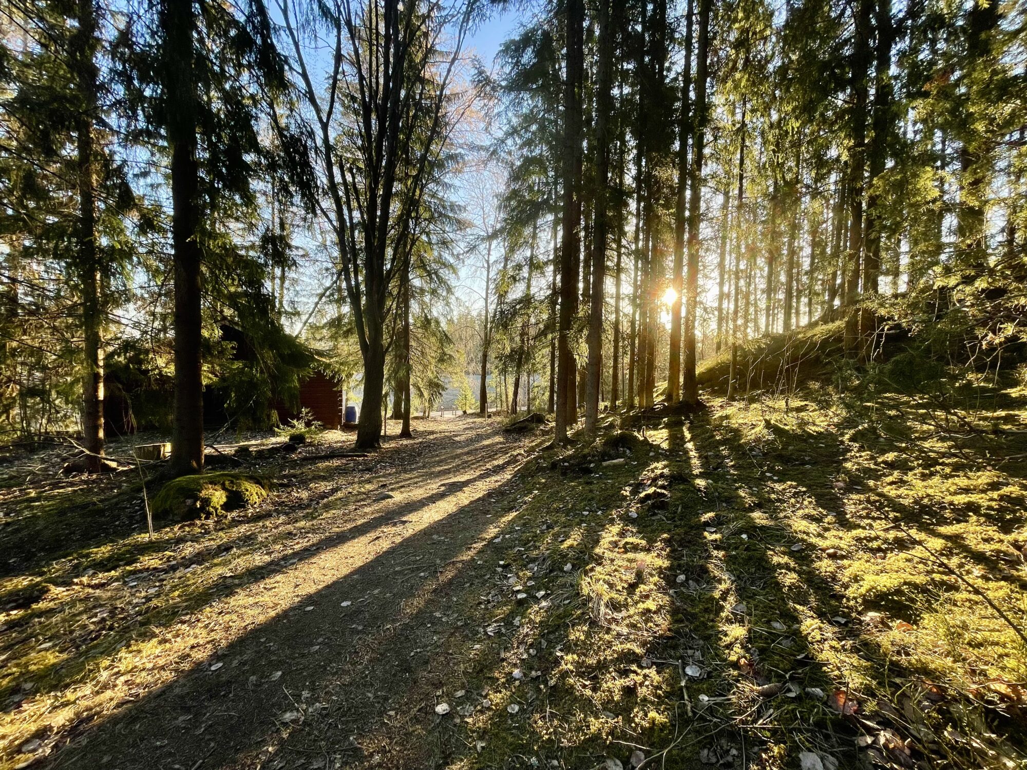 Valokuvaaja: Juhani Peltonen