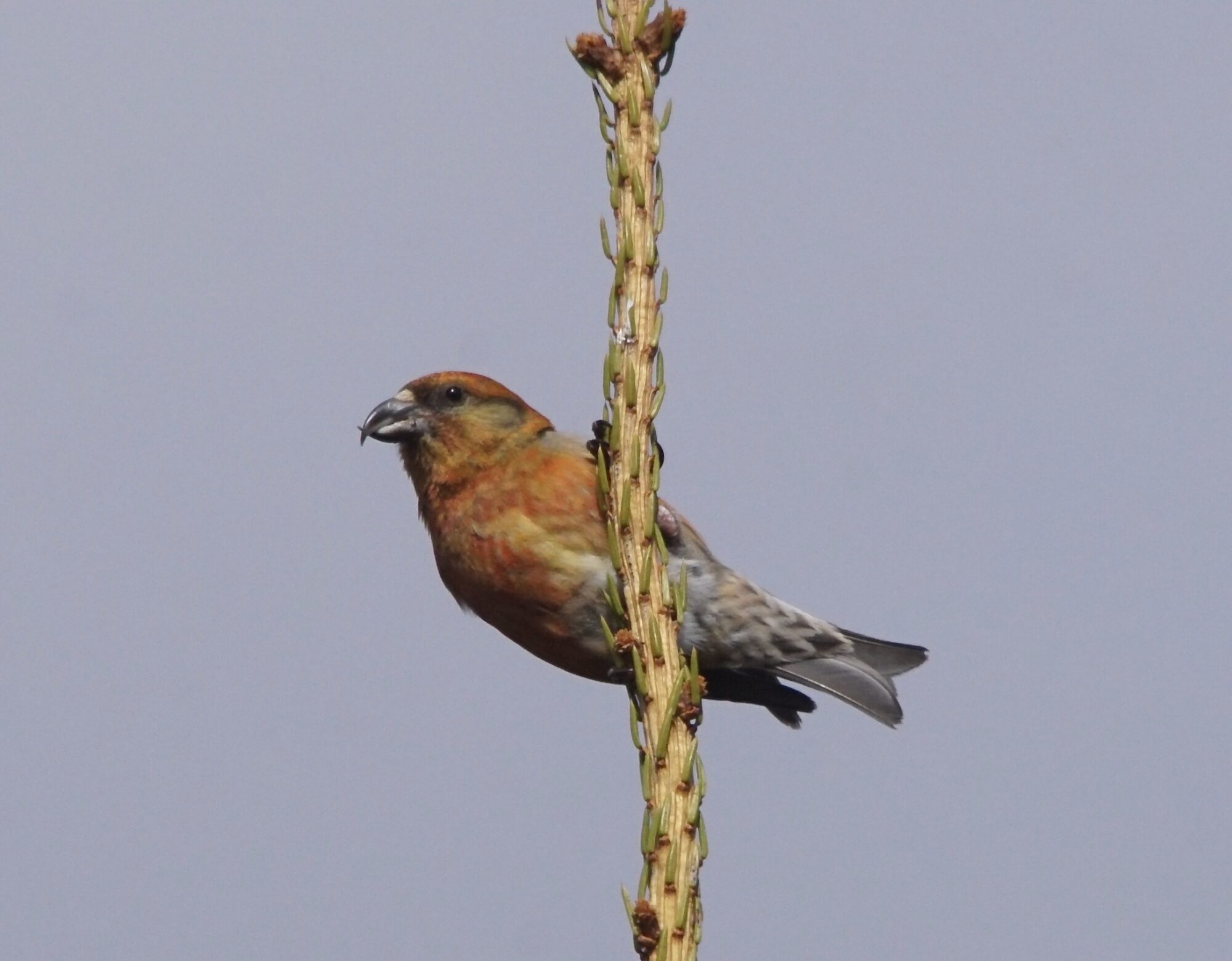 Valokuvaaja: Markku Ranta-Eilola Valokuvaaja: Markku Ranta-Eilola