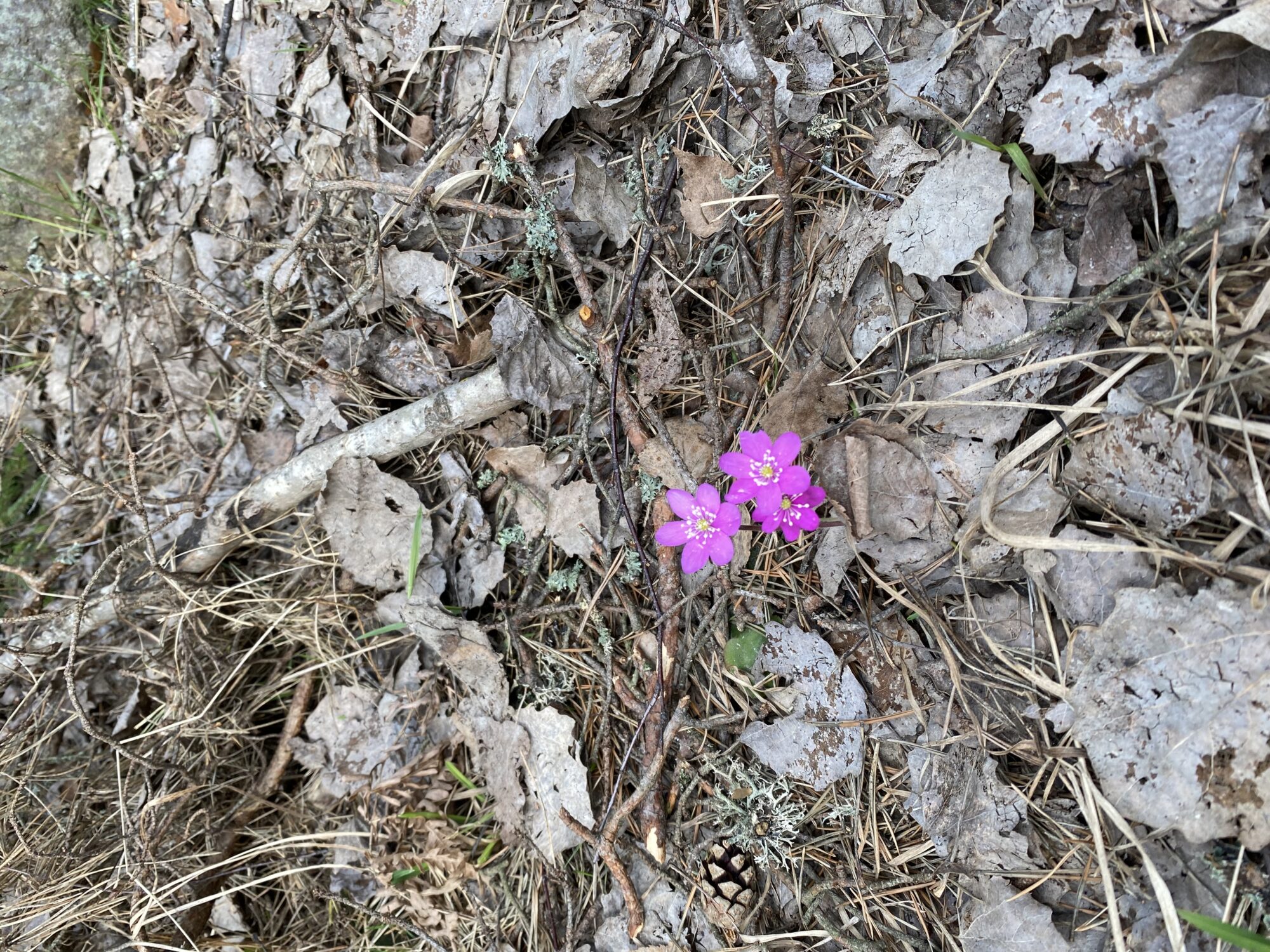 Valokuvaaja: Kari Räsänen
