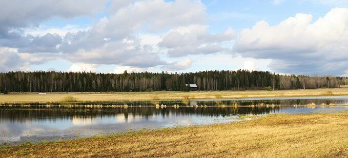 Valokuvaaja: Kati Westerlund