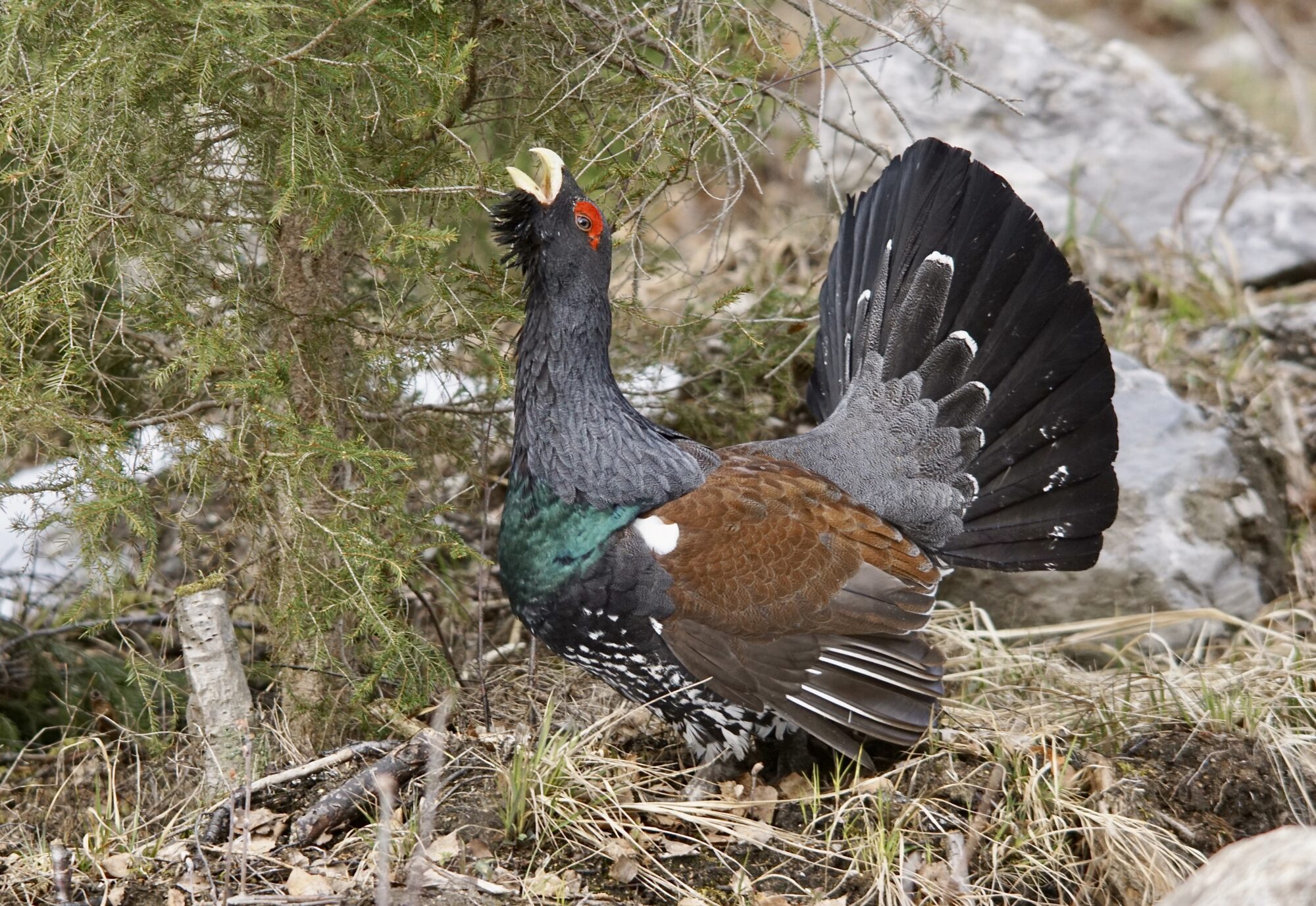 Valokuvaaja: Markku Ranta-Eilola