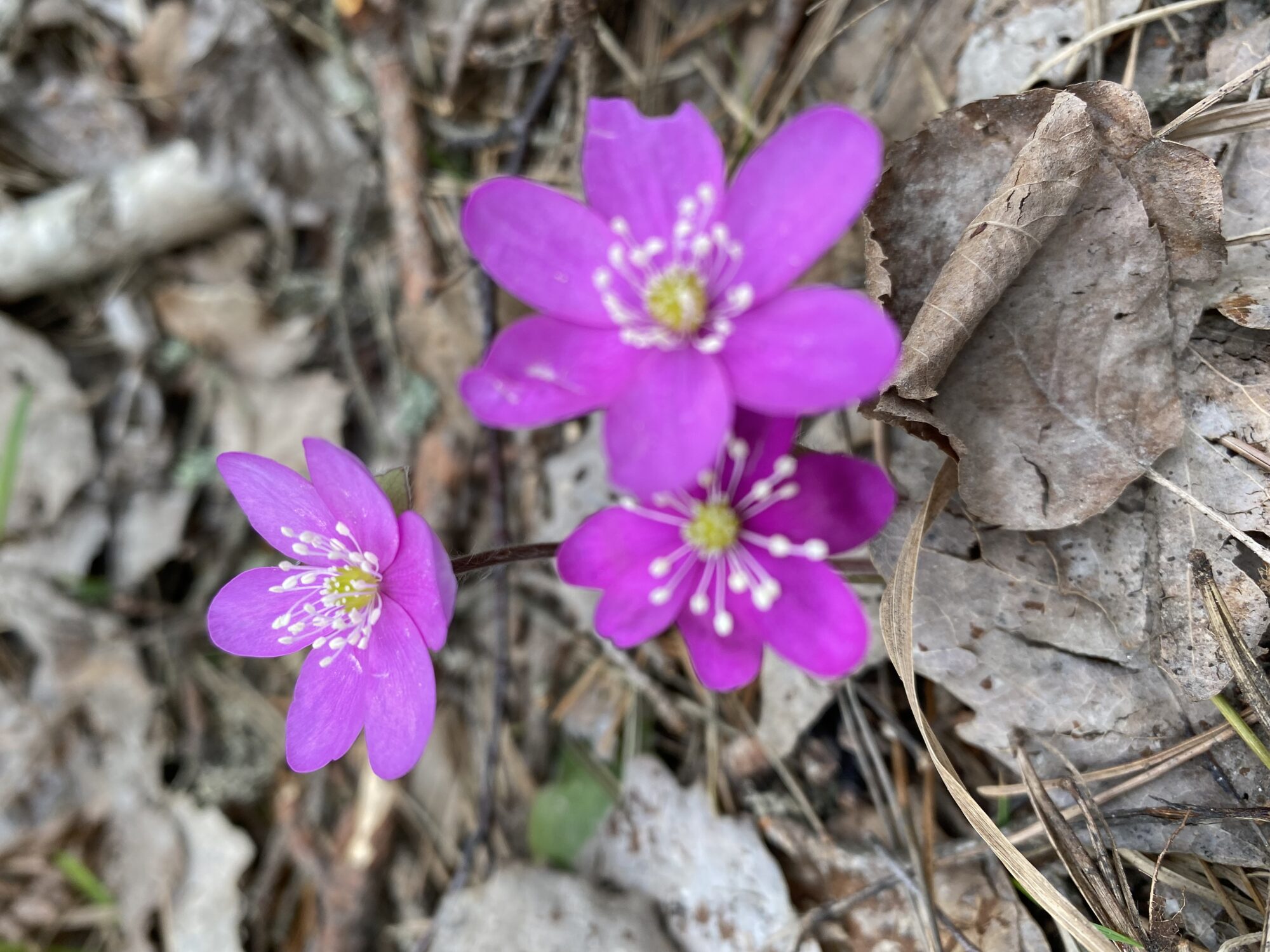 Valokuvaaja: Kari Räsänen