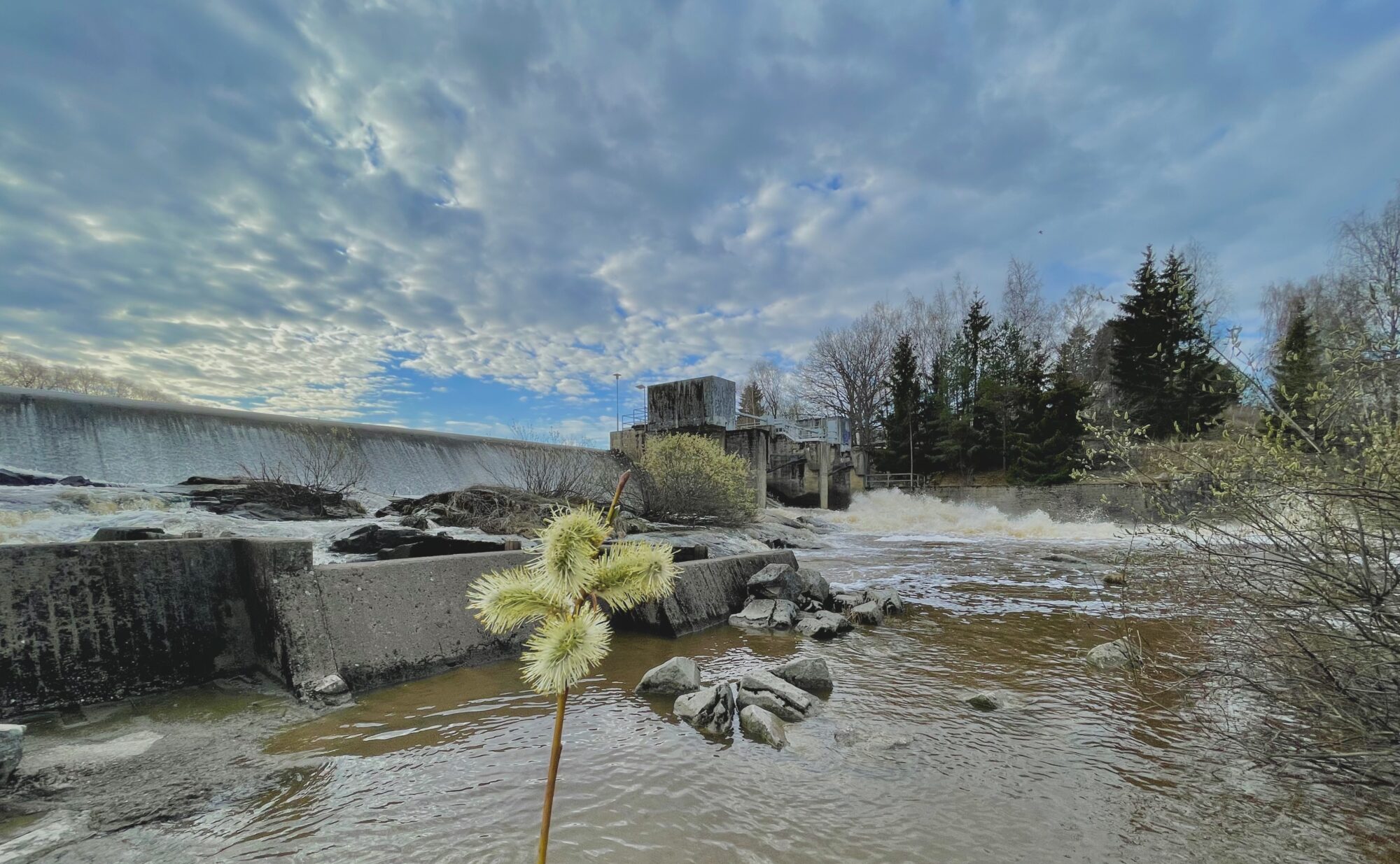 Valokuvaaja: Juhani Peltonen