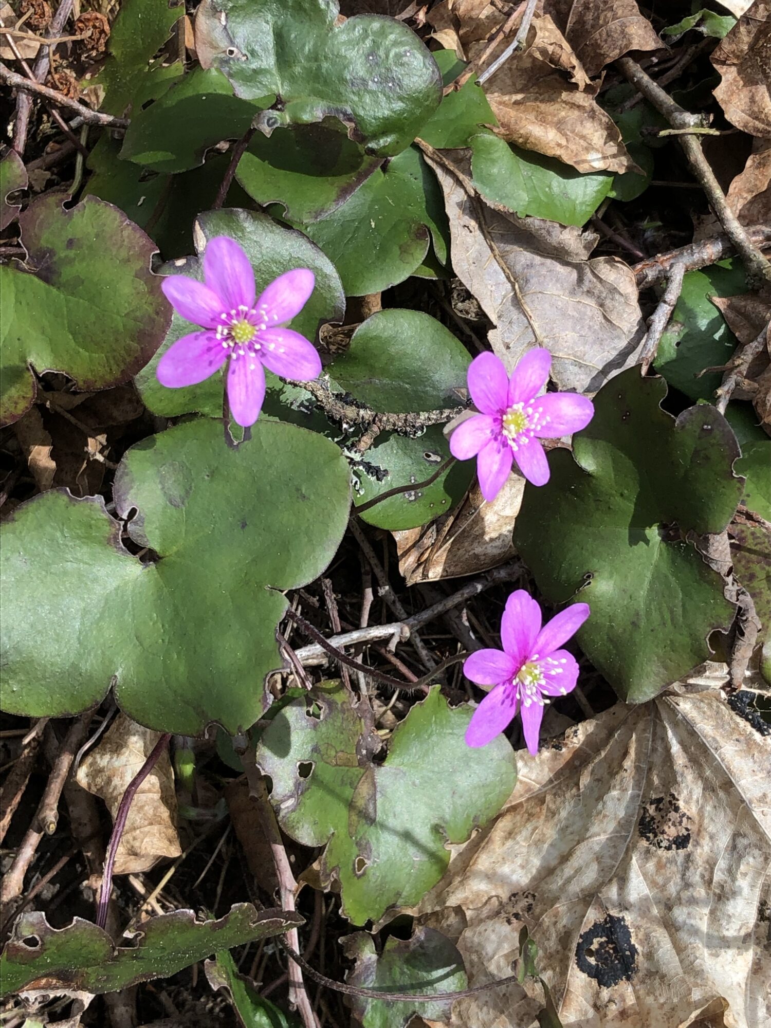 Valokuvaaja: Satu Eskola Valokuvaaja: Satu Eskola