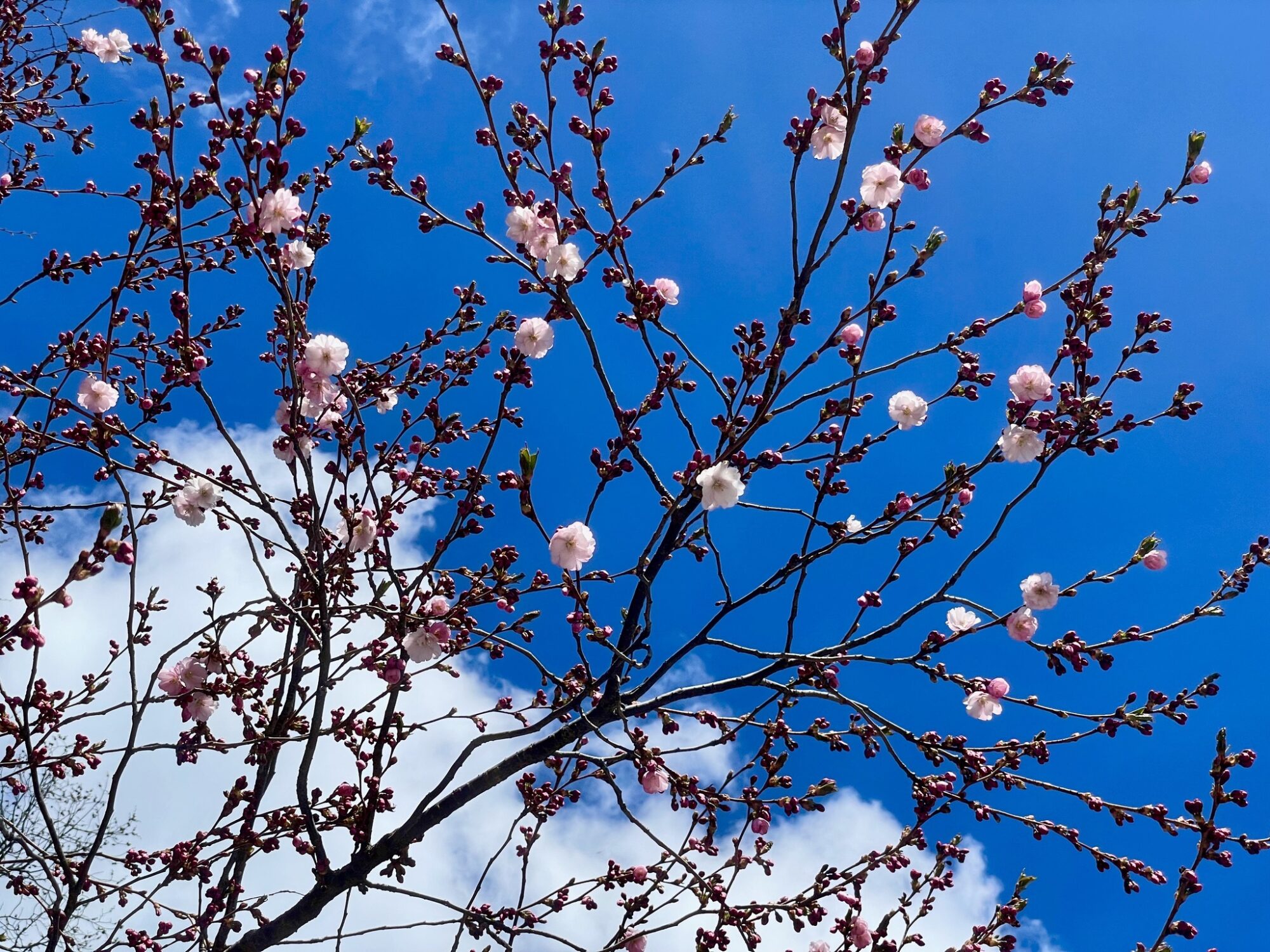 Valokuvaaja: Juhani Peltonen