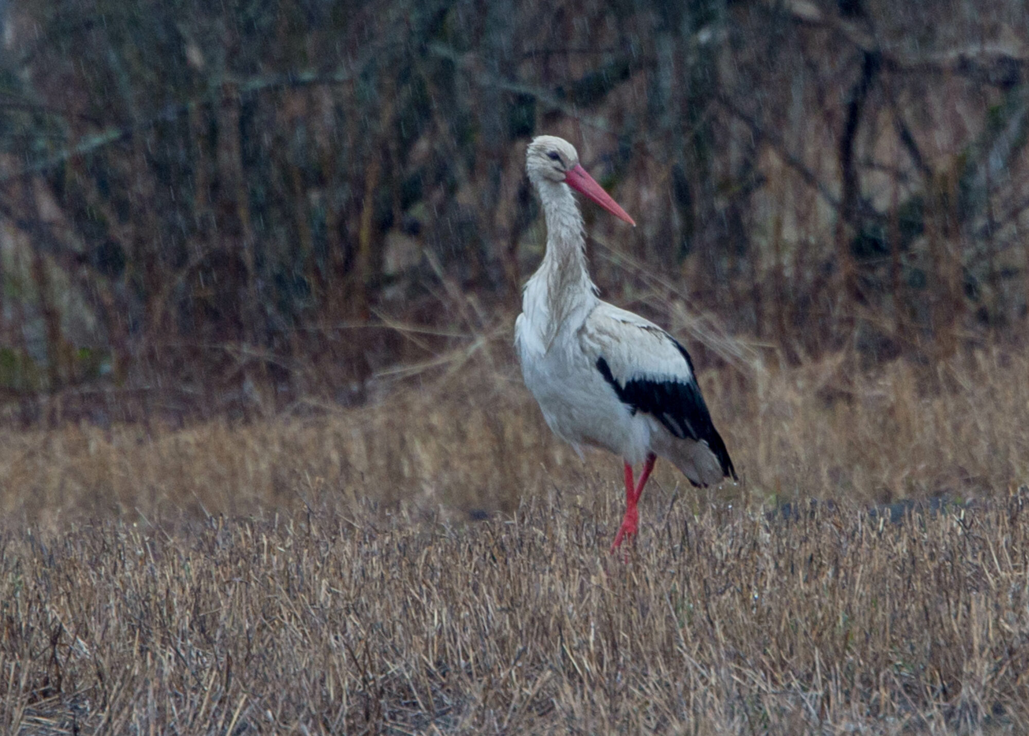 Valokuvaaja: Markku Salonen