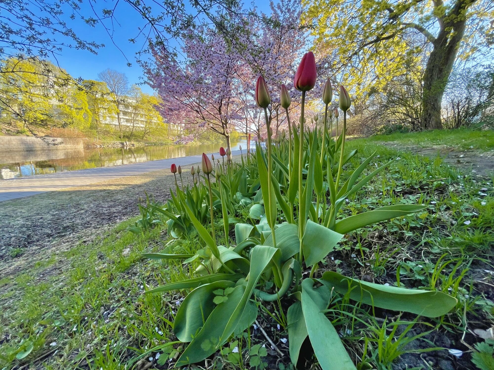 Valokuvaaja: Juhani Peltonen