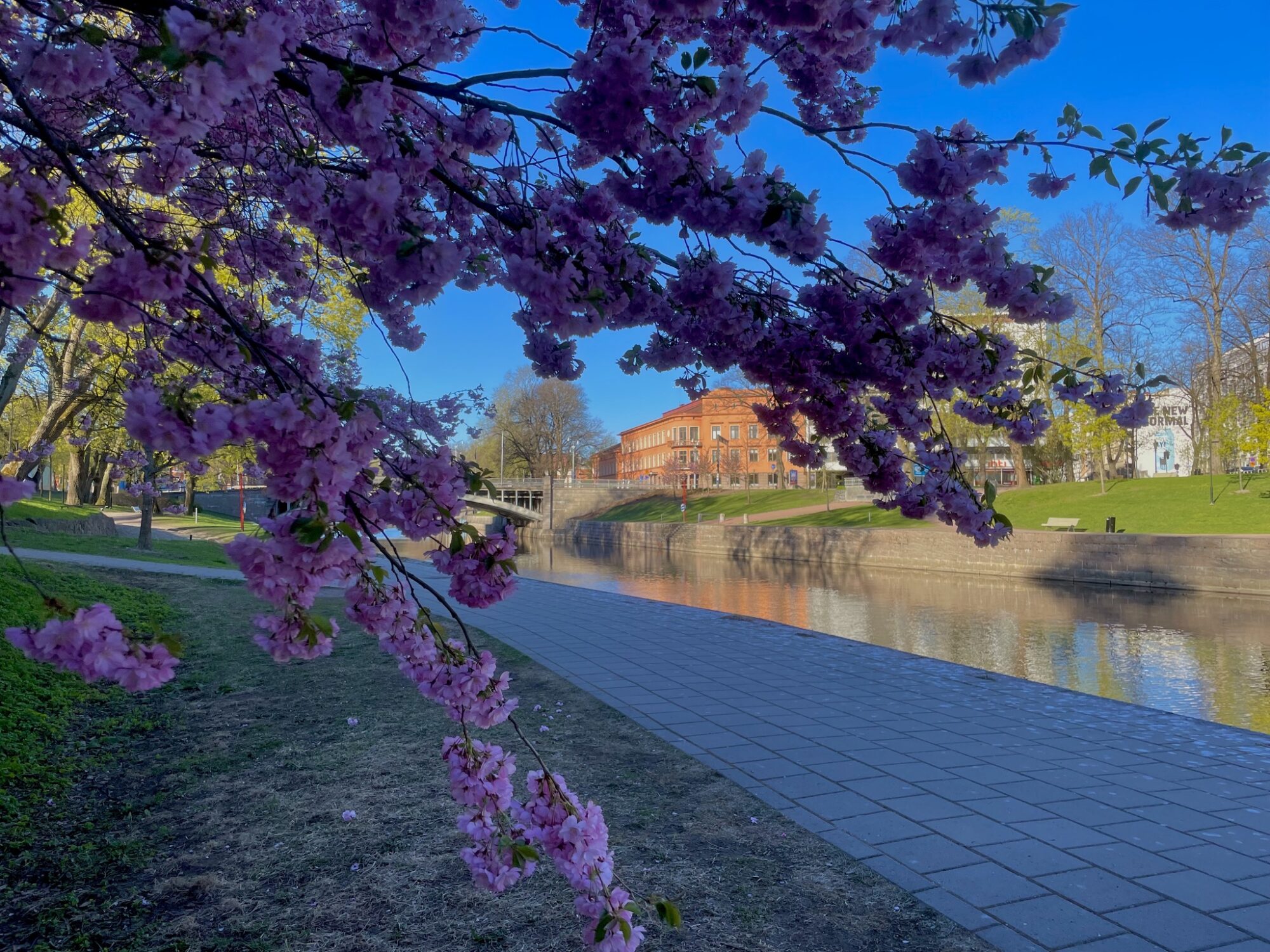 Valokuvaaja: Juhani Peltonen