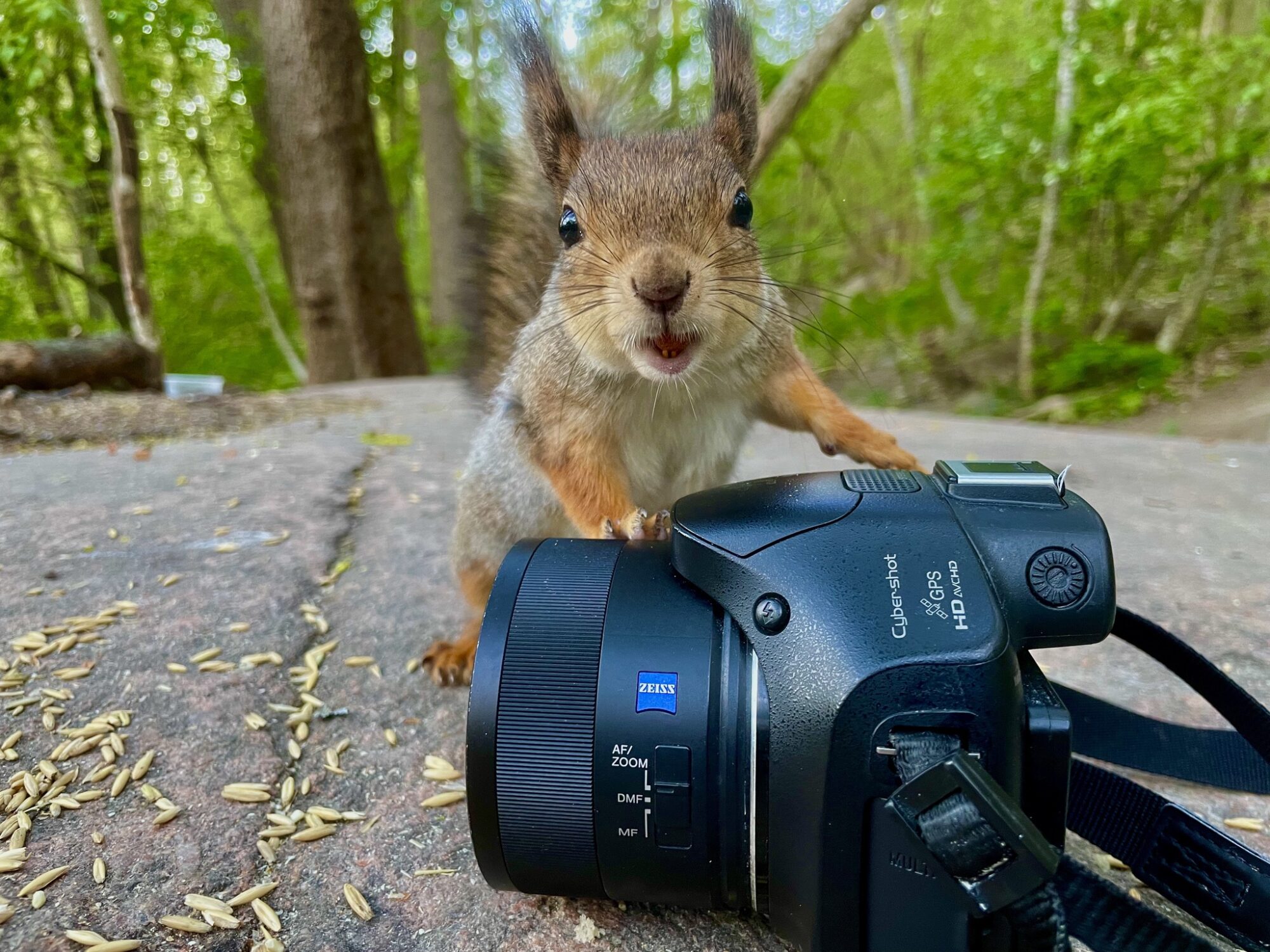 Valokuvaaja: Juhani Peltonen