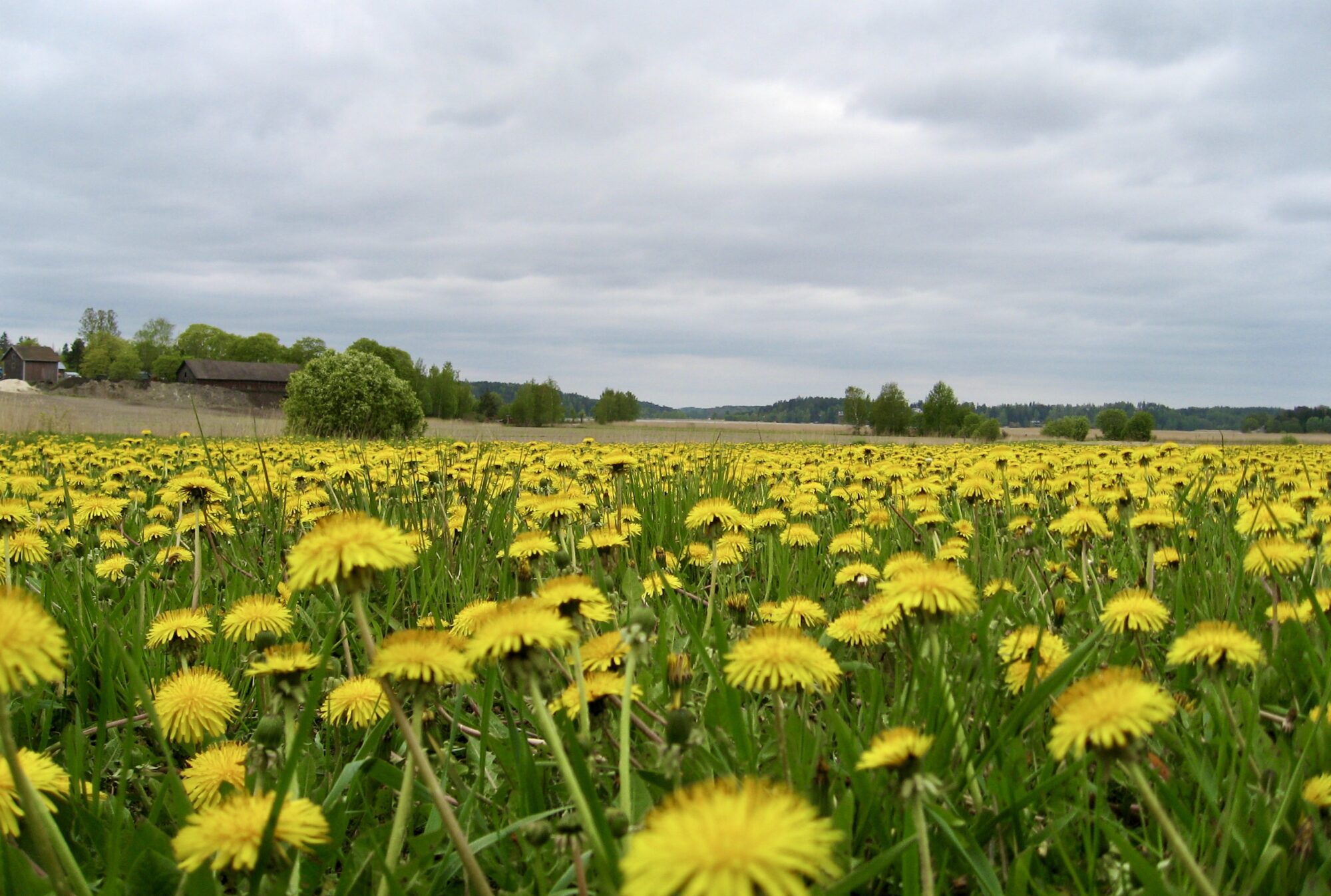Valokuvaaja: Juhani Peltonen