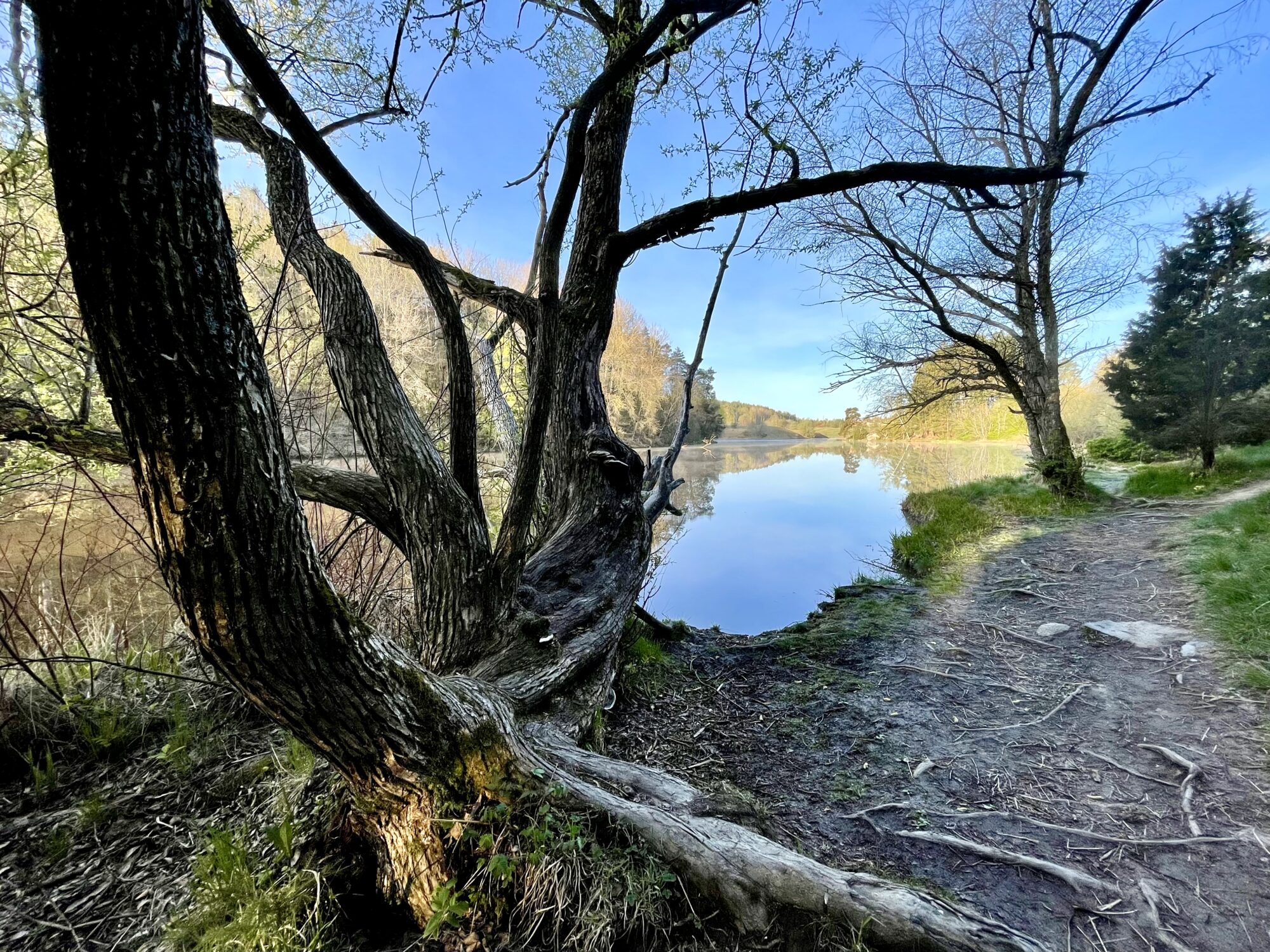 Valokuvaaja: Juhani Peltonen