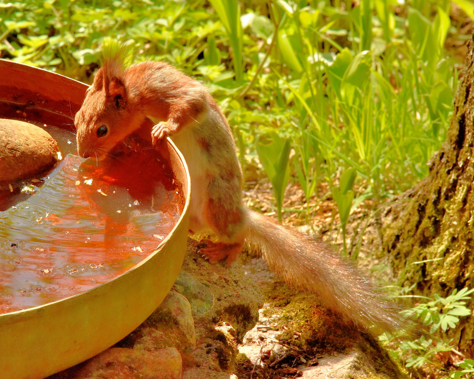 Valokuvaaja: Reijo Juurinen