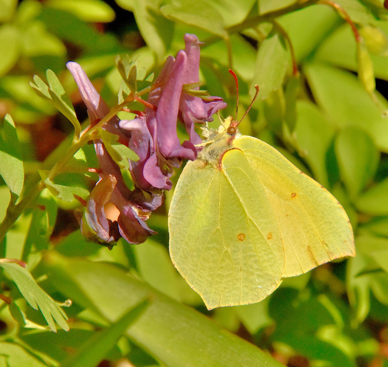 Valokuvaaja: Reijo Juurinen