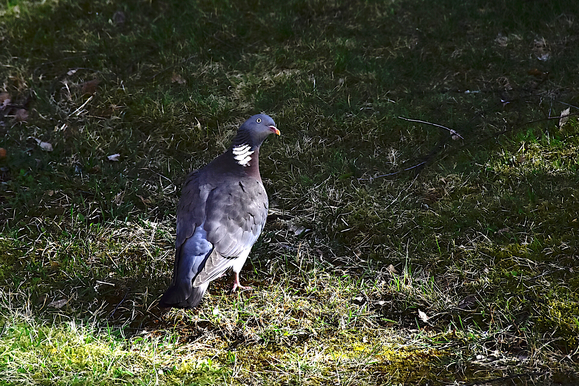 Valokuvaaja: Lasse Rokka Valokuvaaja: Lasse Rokka