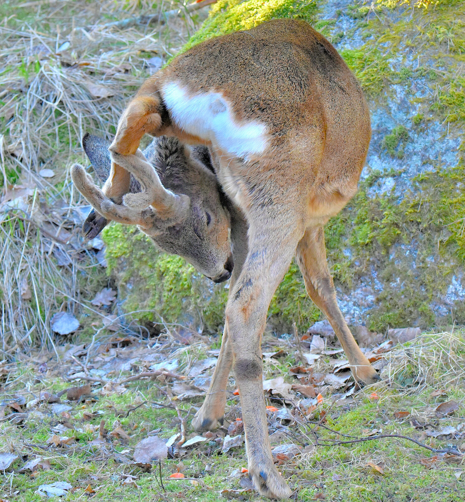 Valokuvaaja: Reijo Juurinen