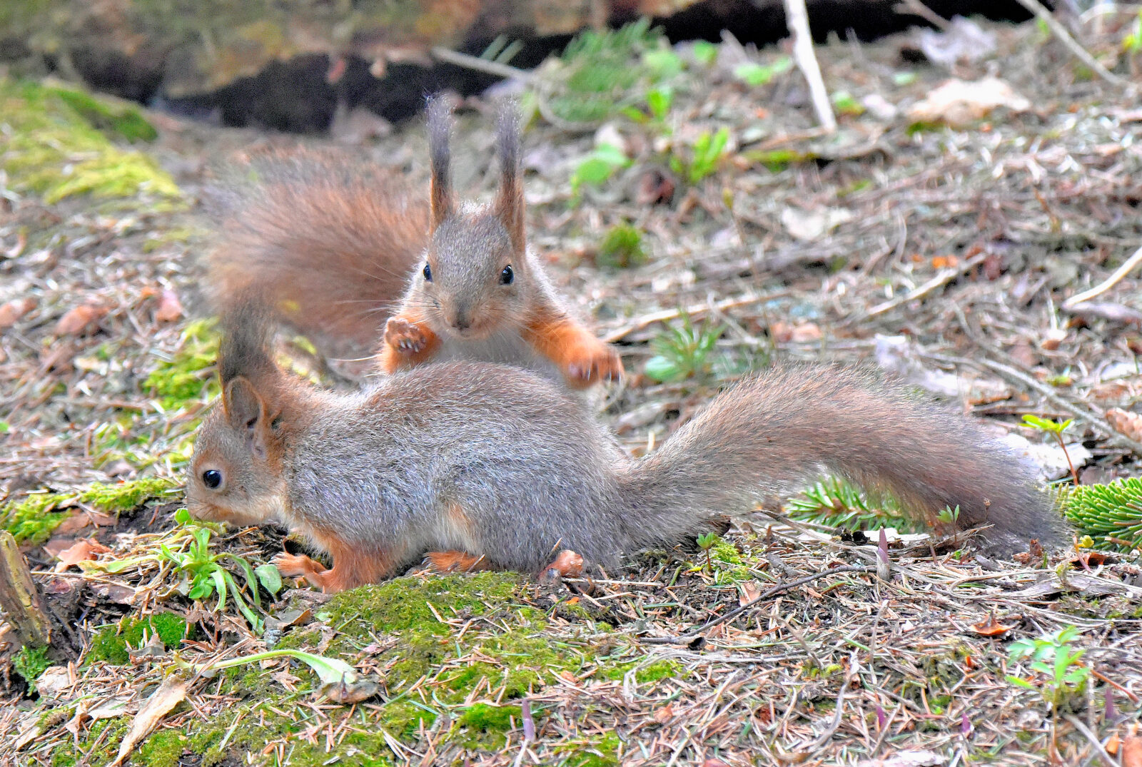 Valokuvaaja: Reijo Juurinen